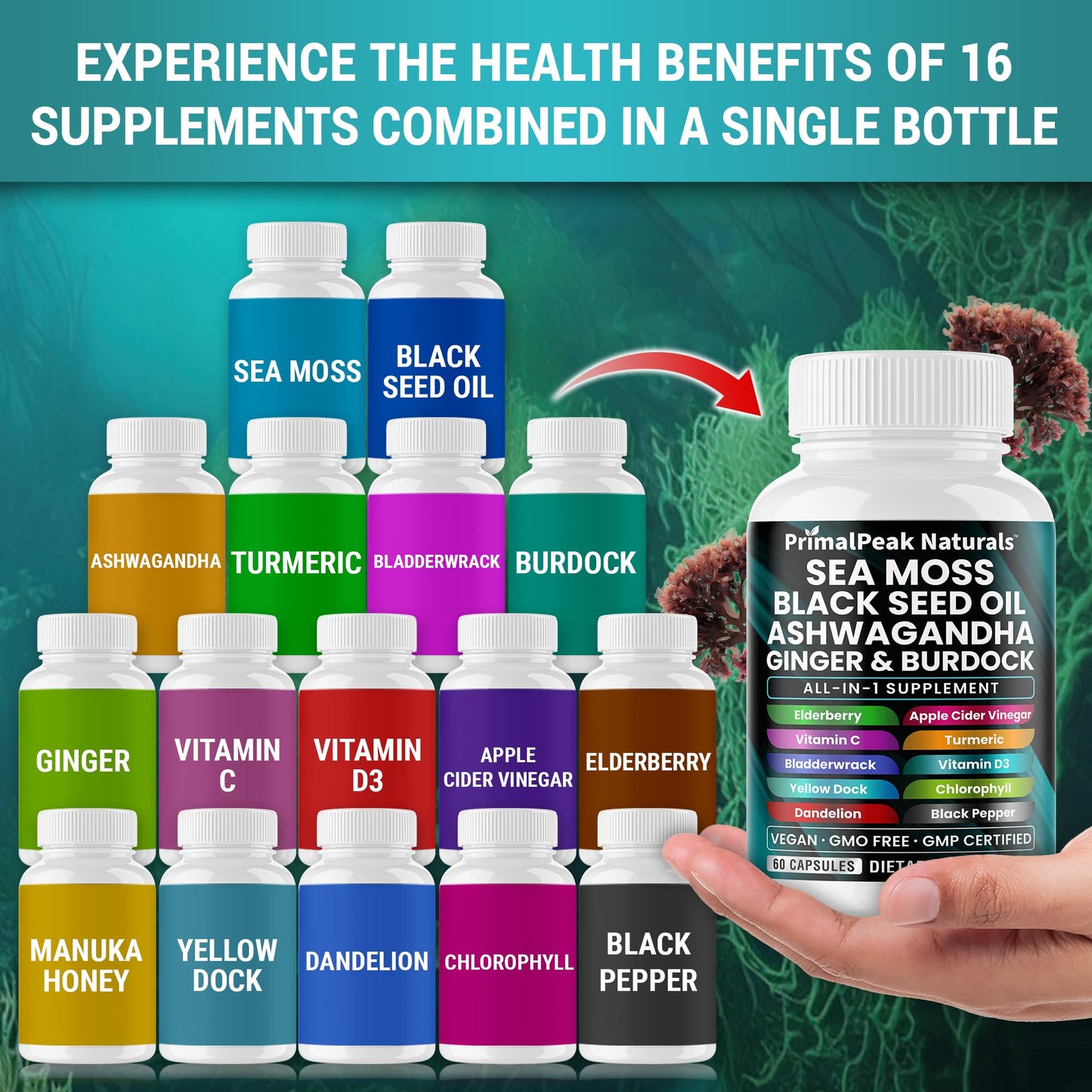 PrimalPeak Naturals Sea Moss Black Seed Oil Ashwagandha Ginger Burdock Bladderwrack Turmeric & Vitamin C Vitamin D3 with ACV Elderberry Chlorophyll Dandelion Yellow Dock Vegan Capsules - 60 Count - dailyvitalstore