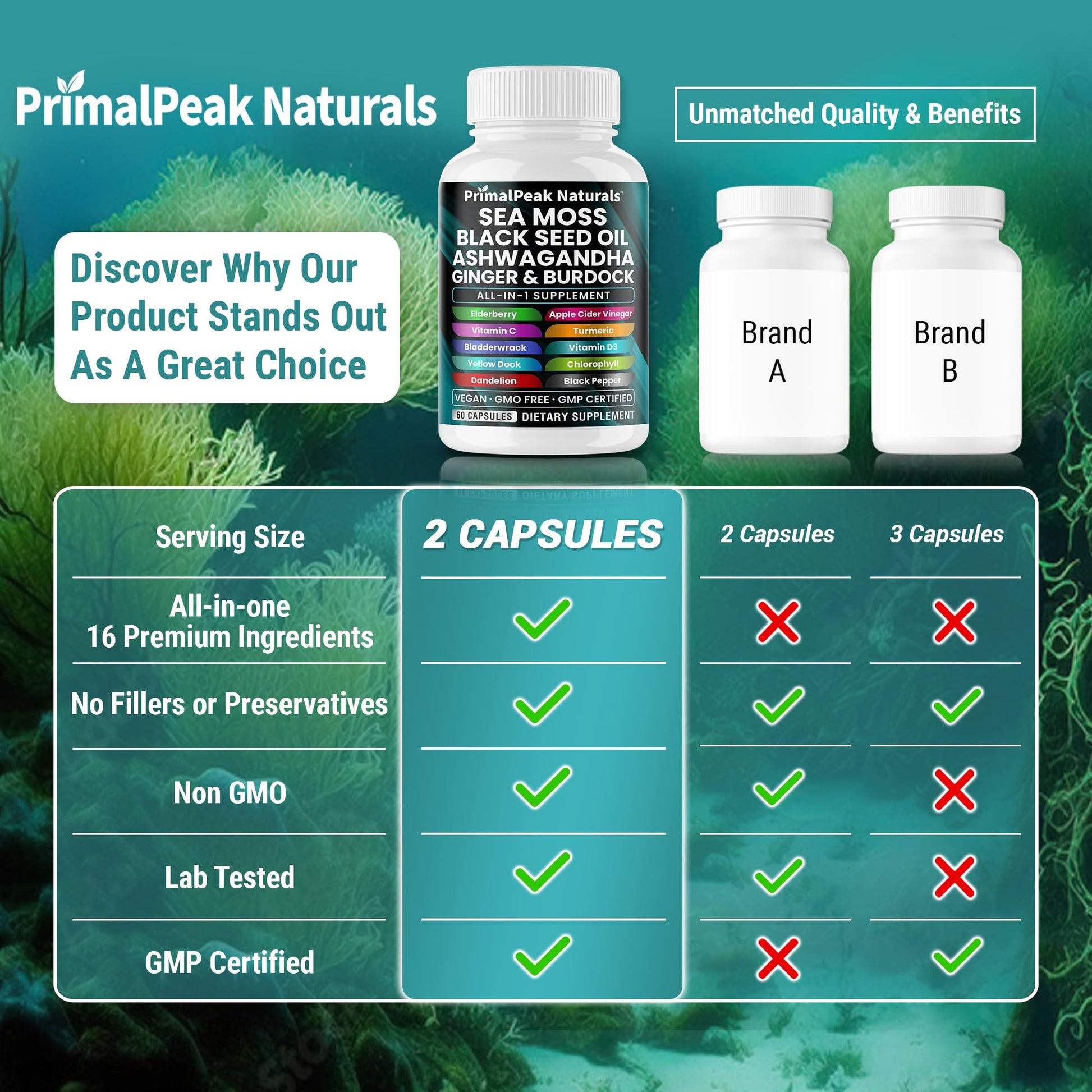 PrimalPeak Naturals Sea Moss Black Seed Oil Ashwagandha Ginger Burdock Bladderwrack Turmeric & Vitamin C Vitamin D3 with ACV Elderberry Chlorophyll Dandelion Yellow Dock Vegan Capsules - 60 Count - dailyvitalstore