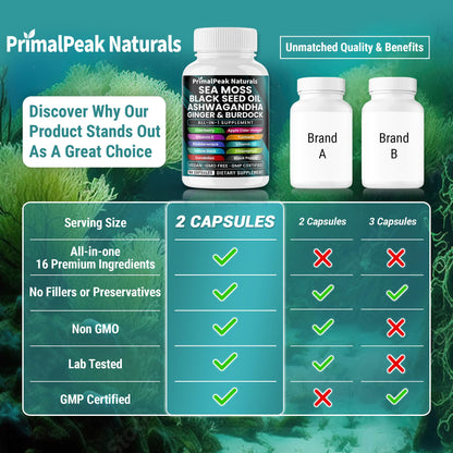 PrimalPeak Naturals Sea Moss Black Seed Oil Ashwagandha Ginger Burdock Bladderwrack Turmeric & Vitamin C Vitamin D3 with ACV Elderberry Chlorophyll Dandelion Yellow Dock Vegan Capsules - 60 Count - dailyvitalstore
