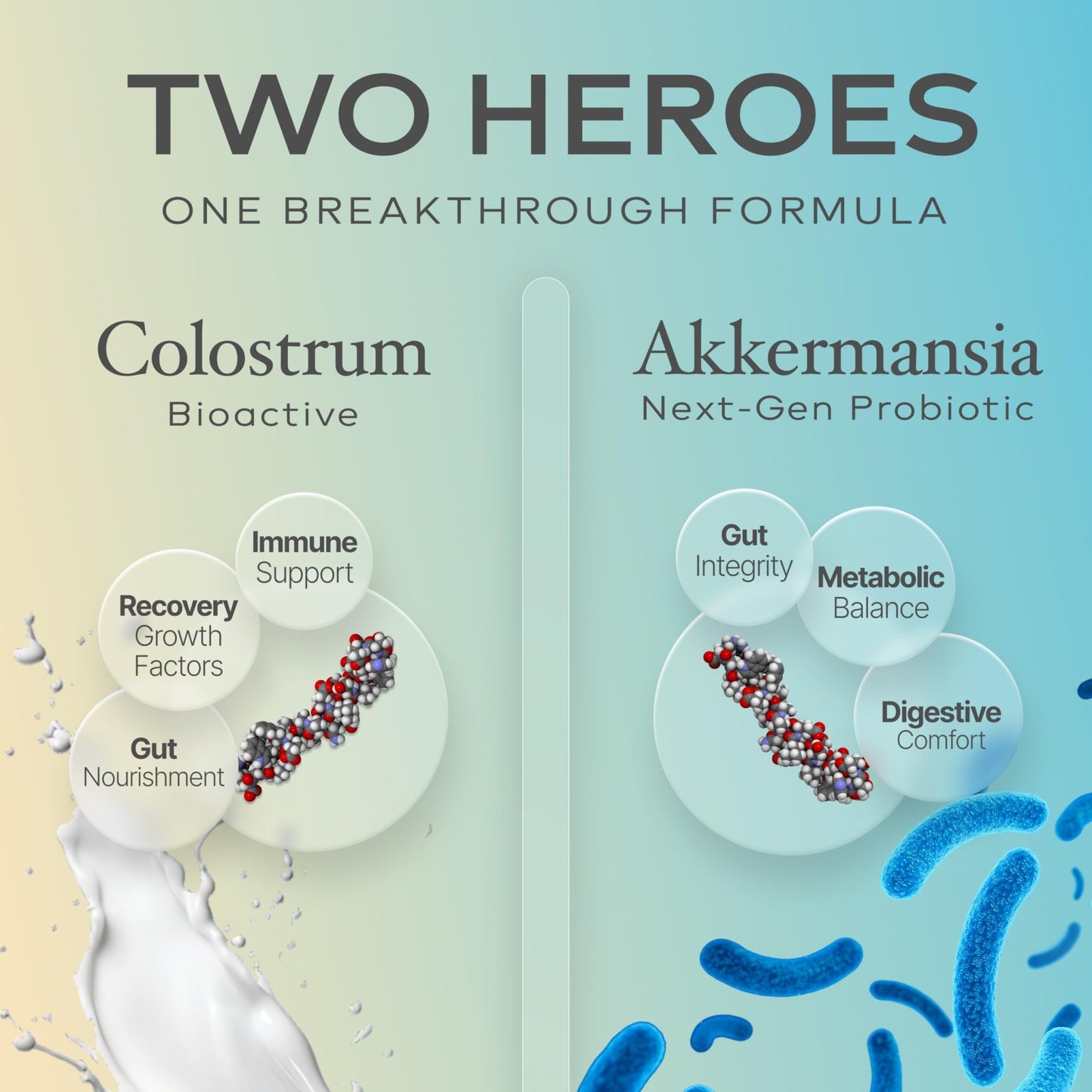 Prime Powders Colostrum Capsules | Grass-Fed Bovine Colostrum with Akkermansia Probiotic 1B AFU | Microbiome & Gut Support - dailyvitalstore