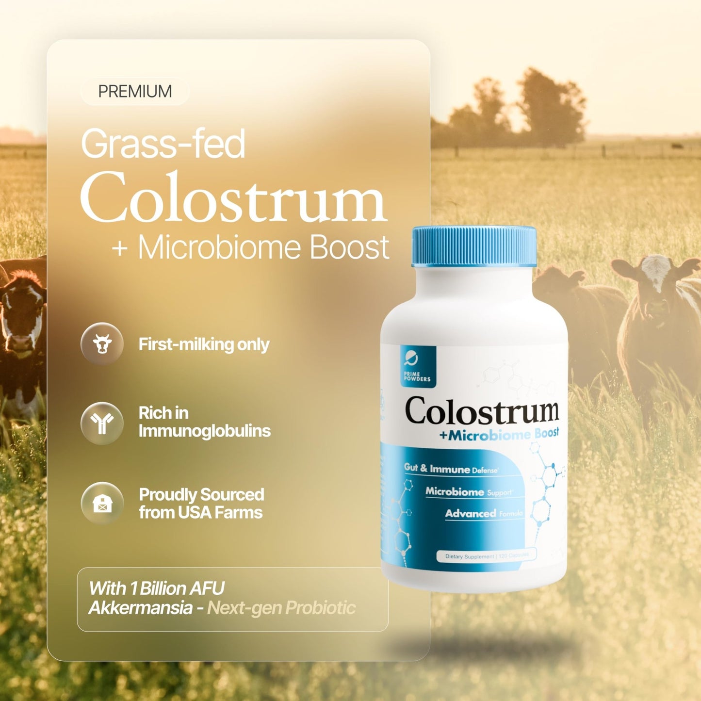 Prime Powders Colostrum Capsules | Grass-Fed Bovine Colostrum with Akkermansia Probiotic 1B AFU | Microbiome & Gut Support - dailyvitalstore