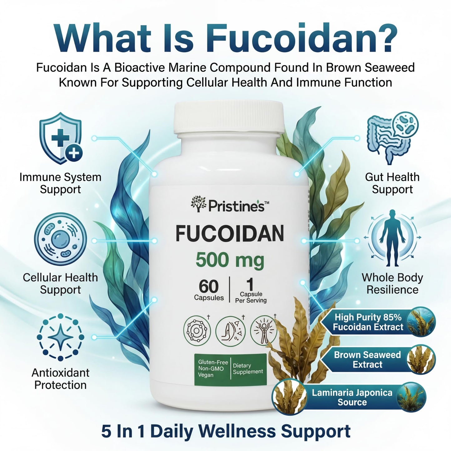 PRISTINE'S Fucoidan 500MG Immunity Supplement Capsules - 60 Day Supply - Brown Seaweed Extract - Potent Herbal Antioxidant Lung Health & Skin Health Support - dailyvitalstore