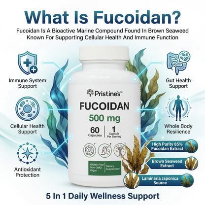 PRISTINE'S Fucoidan 500MG Immunity Supplement Capsules - 60 Day Supply - Brown Seaweed Extract - Potent Herbal Antioxidant Lung Health & Skin Health Support - dailyvitalstore
