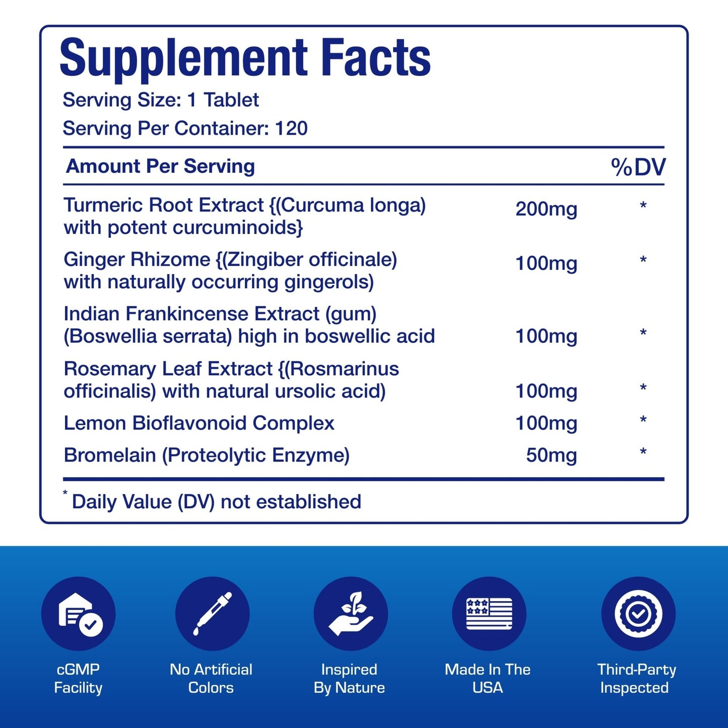 Pro ENZ Joint Support Supplement - Clinical Formula Turmeric Boswellia Supplement for Joint & Cartilage Mobility and Comfort Support Plus Eicosanoid Management with Proteolytic Enzymes (120 Servings) - dailyvitalstore