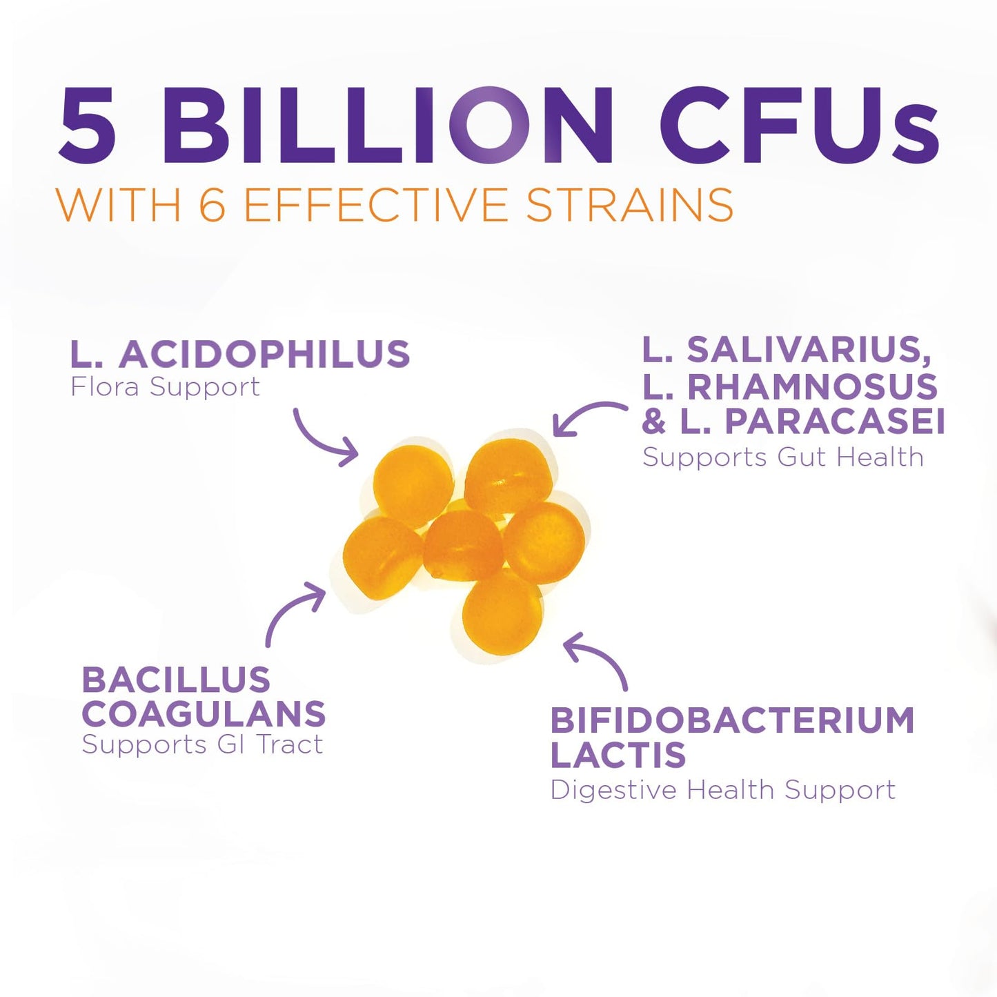 Probiotic Gummies - Advanced Multi-Strain Probiotic Formula - Gut & Digestive Health Support Gummy - Bacillus Coagulans 5 Billion CFU Per Serving, Daily Acidophilus Probiotics Supplement - 120 Gummies - dailyvitalstore