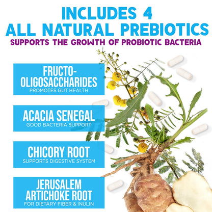 Probiotics 100 Billion CFU Per Serving - 10 Premium Strains + Prebiotics - Best Probiotic Supplement for Women & Men - Supports Immune, Digestive Health, - dailyvitalstore