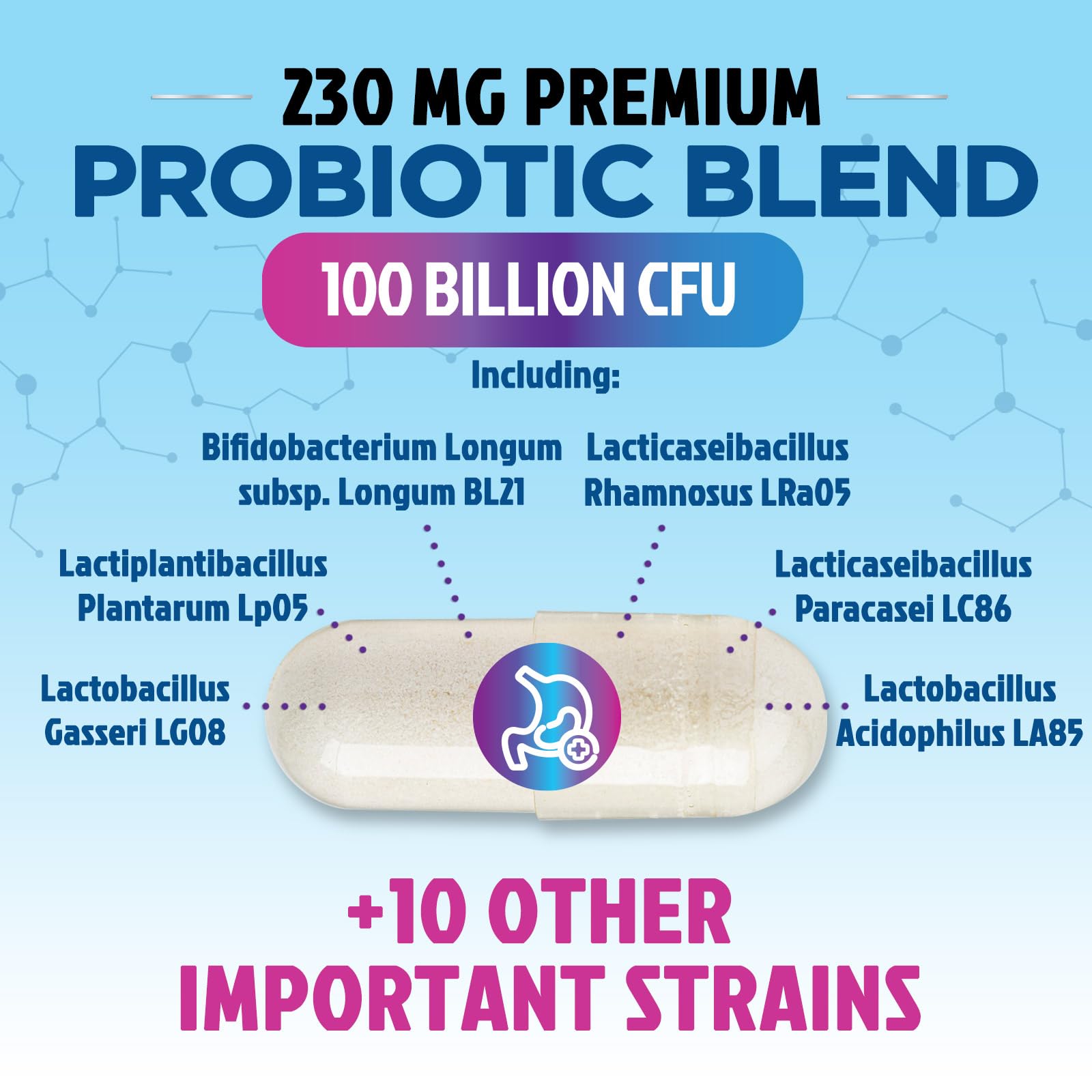 Probiotics for Digestive Gut Health - 100 Billion CFU Per Capsule, 16 Premium Strains & Prebiotics - Best Probiotics for Women & Men, Occasional Constipation - dailyvitalstore