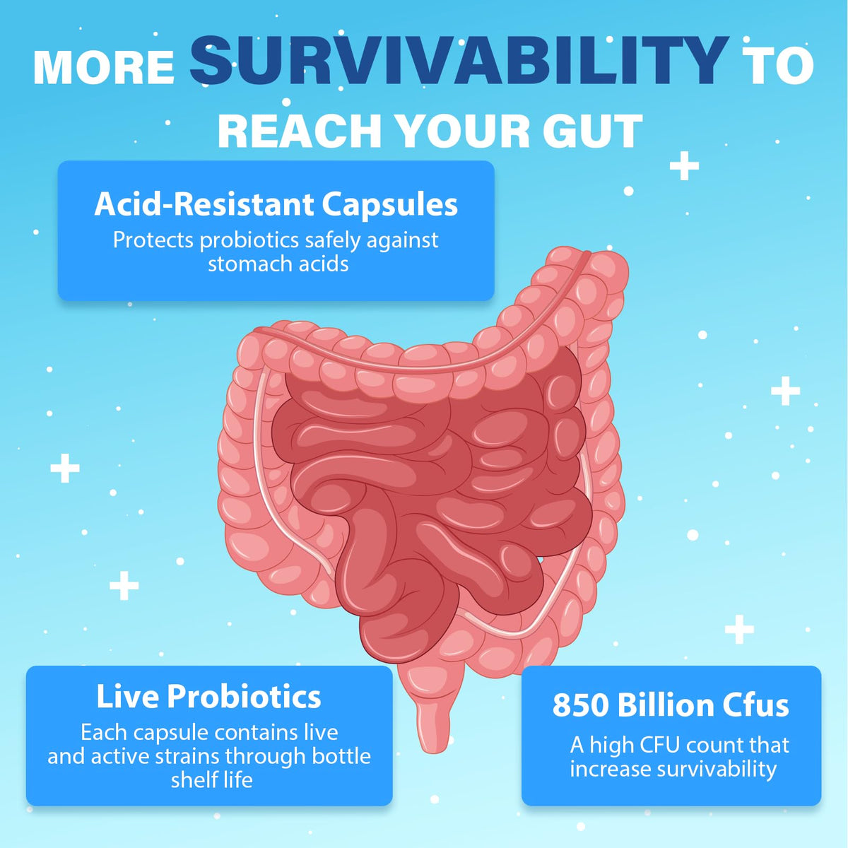 Probiotics for Men, Advanced 50+ Mens Probiotic, Comprehensive Gut & Energy Support with 850 Billion CFU, 1800mg Prebiotics Fiber – Tailored Wellness mens probiotics - dailyvitalstore