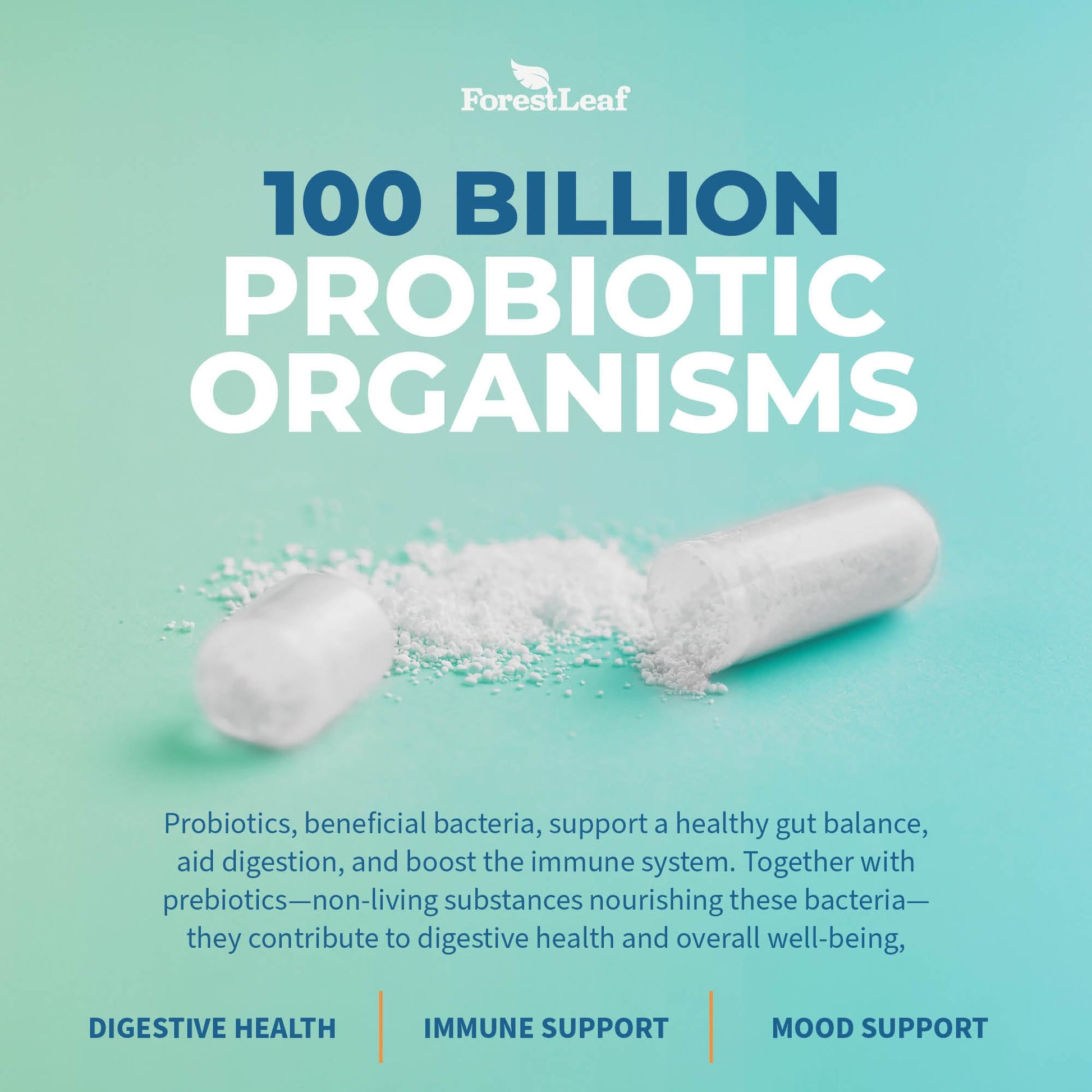 Probiotics for Men and Women, 100 Billion CFU, 26 Unique Strains, Men's and Women's Probiotic and Prebiotics Support Digestive Health, Gut Wellness, Energy, - dailyvitalstore