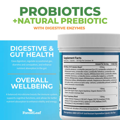 Probiotics for Men and Women, 100 Billion CFU, 26 Unique Strains, Men's and Women's Probiotic and Prebiotics Support Digestive Health, Gut Wellness, Energy, - dailyvitalstore