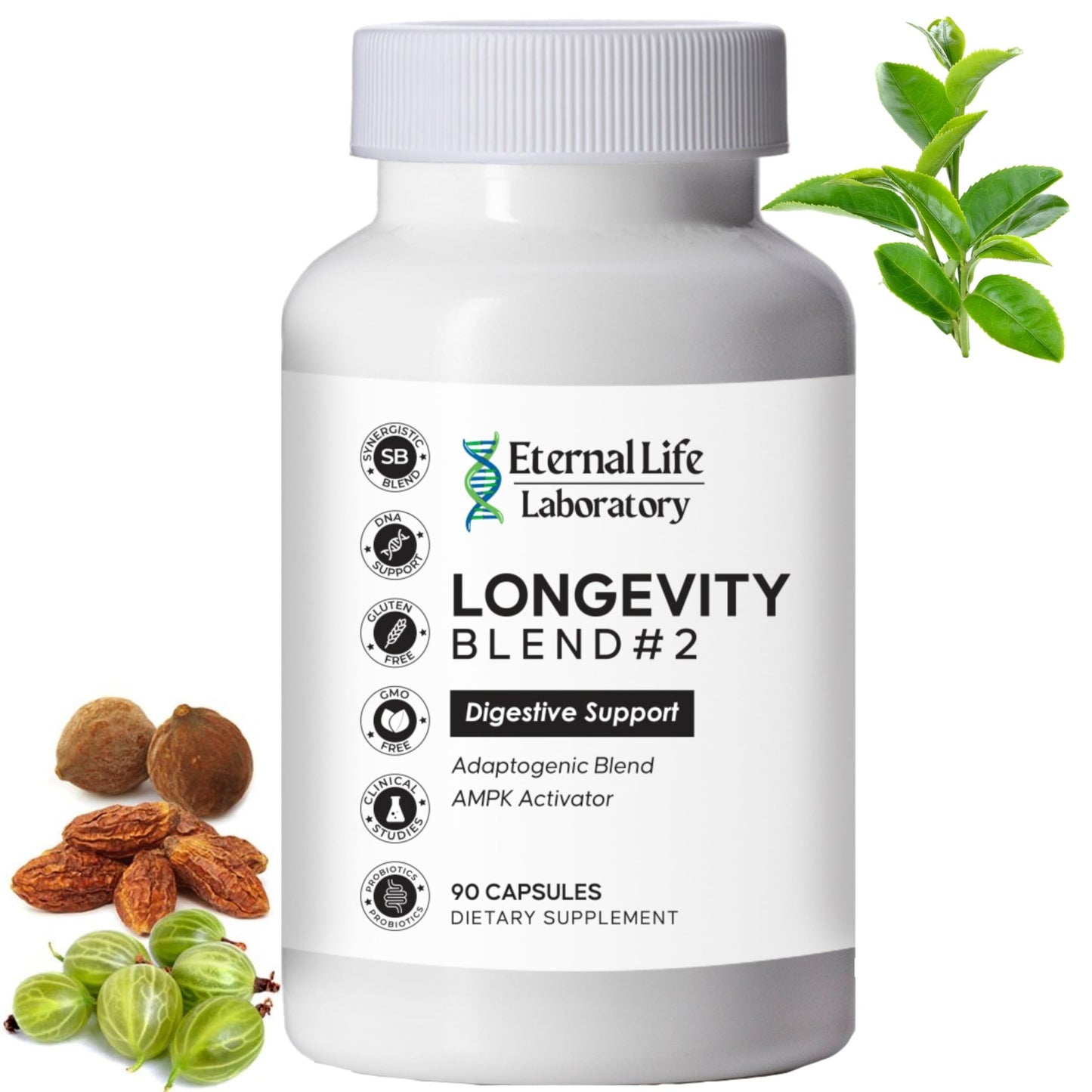 Probiotics for Women and Men, Daily Probiotic Supplement Probiotics and Triphala, Green Tea Extract - Anti-Aging Gut Health Optimizer - Intestinal, Colon & Digestive Health - 90 Capsules - dailyvitalstore
