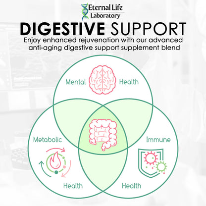 Probiotics for Women and Men, Daily Probiotic Supplement Probiotics and Triphala, Green Tea Extract - Anti-Aging Gut Health Optimizer - Intestinal, Colon & Digestive Health - 90 Capsules - dailyvitalstore