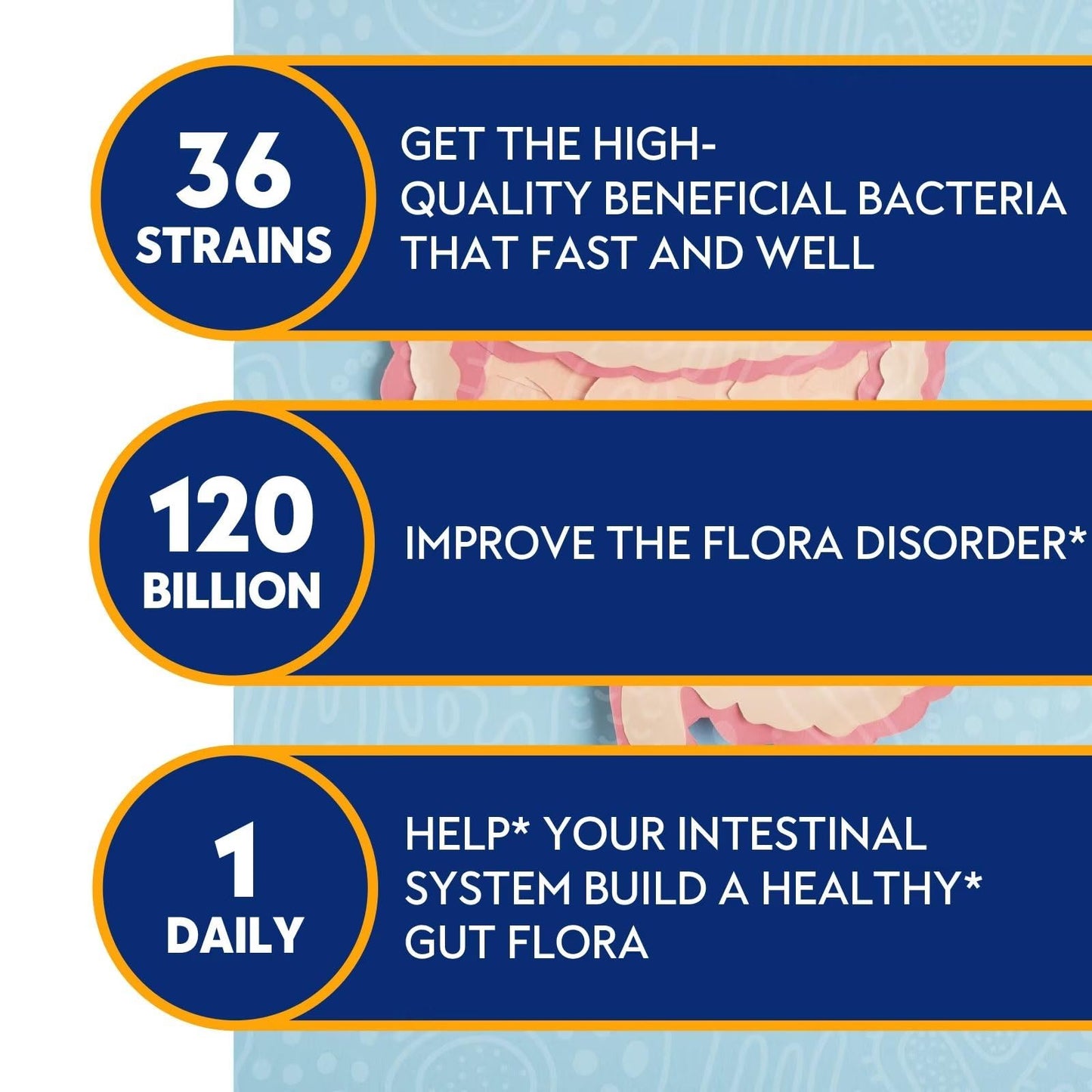 Probiotics for Women & Men 120 Billion CFU with 36 Probiotic Strains for Digestive Health and Gut Health, Delayed Release Capsules, Stomach Acid Resistant, - dailyvitalstore