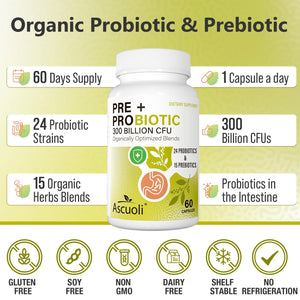 Probiotics for Women & Men - 300 Billion CFU, 24 Strains + 15 Organic Herbs Prebiotics Blend, Daily Probiotic for Digestive Health, Immune, Gut, Bloating - 120 Vegetarian Capsule (120-Days Supply) - dailyvitalstore