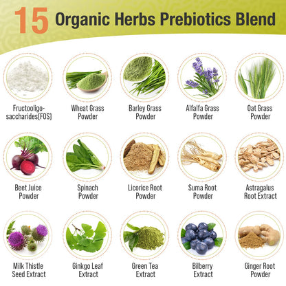Probiotics for Women & Men - 300 Billion CFU, 24 Strains + 15 Organic Herbs Prebiotics Blend, Daily Probiotic for Digestive Health, Immune, Gut, Bloating - dailyvitalstore