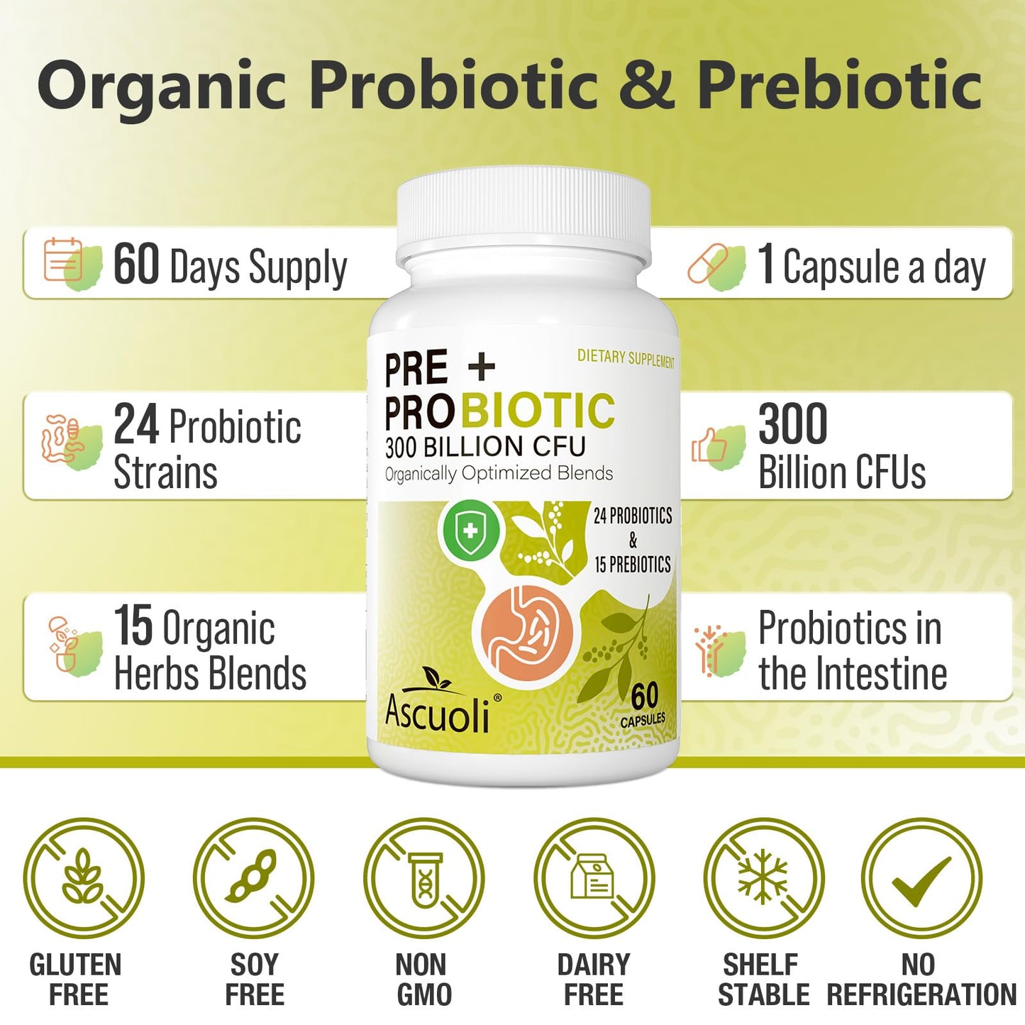 Probiotics for Women & Men - 300 Billion CFU, 24 Strains + 15 Organic Herbs Prebiotics Blend, Daily Probiotic for Digestive Health, Immune, Gut, Bloating - dailyvitalstore