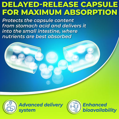 Probiotics with Digestive Enzymes and Prebiotic for Women and Men - 3-In-1 Vegan Probiotic Prebiotic Multi Enzyme Complex for Gut Health - dailyvitalstore