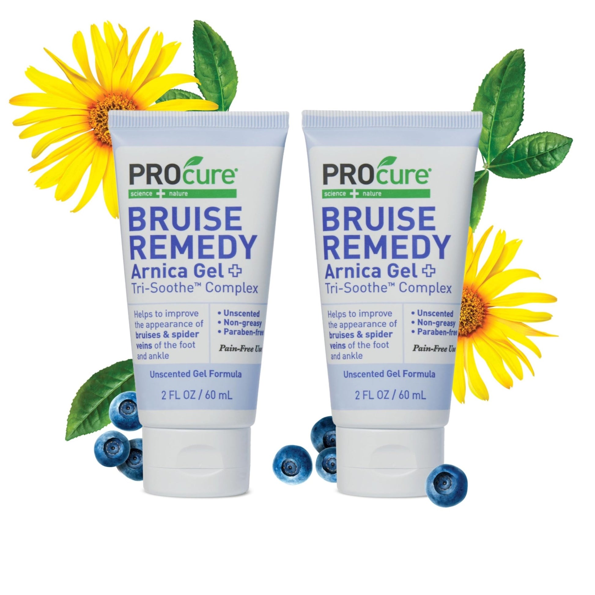 PROcure Arnica & MSM Bruise Remedy Gel – Paraben-Free, Unscented Arnica Montana Gel for Bruising, Spider Veins & Skin Discoloration – 2 Pack - dailyvitalstore