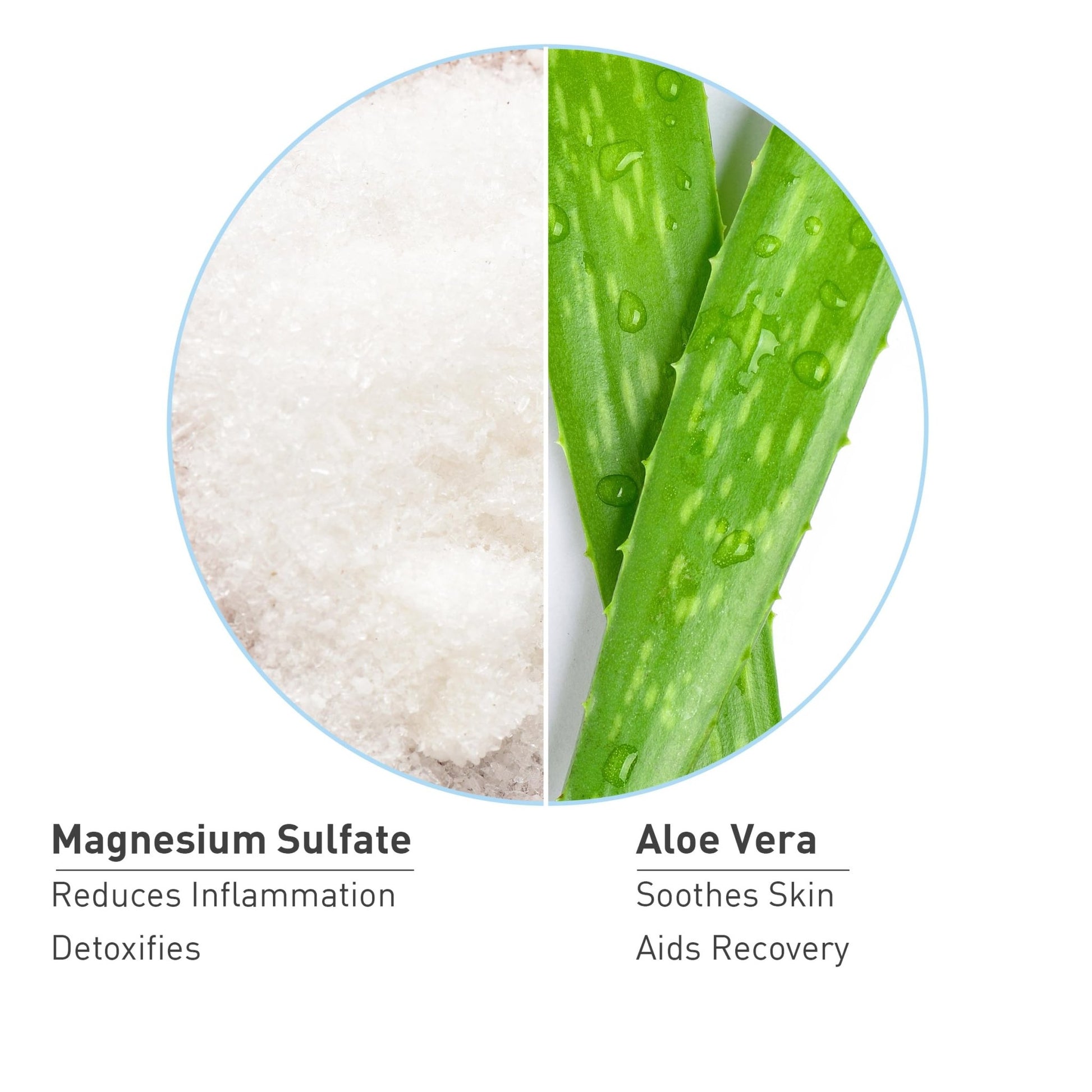 PROcure Epsom Salt Rub Gel – Concentrated Muscle Relief with Organic Aloe Vera & Essential Oils for Aches, Soreness & Tension – 2 Pack - dailyvitalstore