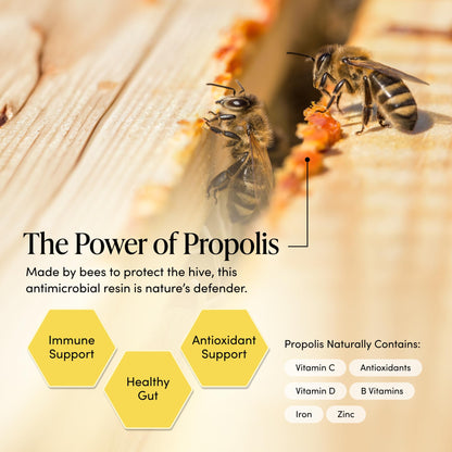 Propolis Throat Spray by Beekeeper's Naturals - 95% Bee Propolis Extract, Natural Immune Support & Sore Throat Relief - Antioxidants, Keto, Paleo, Gluten-Free (1.0 oz)(Pack of 1) - dailyvitalstore