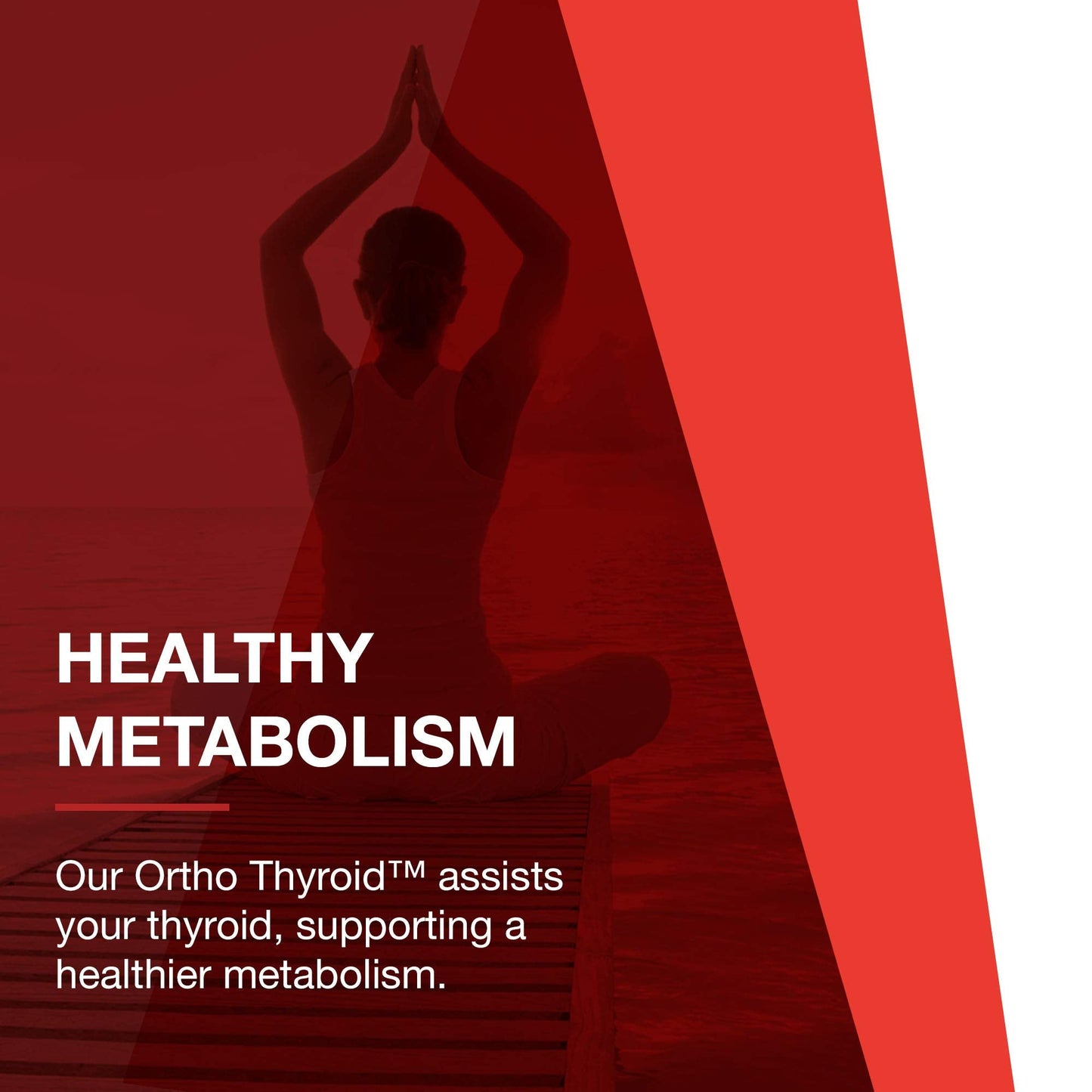 PROTOCOL FOR LIFE BALANCE Ortho Thyroid - Supports Healthy Thyroid Function* - with Ashwagandha, Zinc & Selenium - Non-GMO & Kosher - 90 Veg Capsules - dailyvitalstore