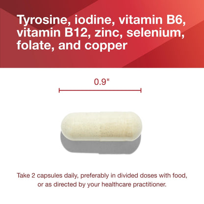 PROTOCOL FOR LIFE BALANCE Ortho Thyroid - Supports Healthy Thyroid Function* - with Ashwagandha, Zinc & Selenium - Non-GMO & Kosher - 90 Veg Capsules - dailyvitalstore