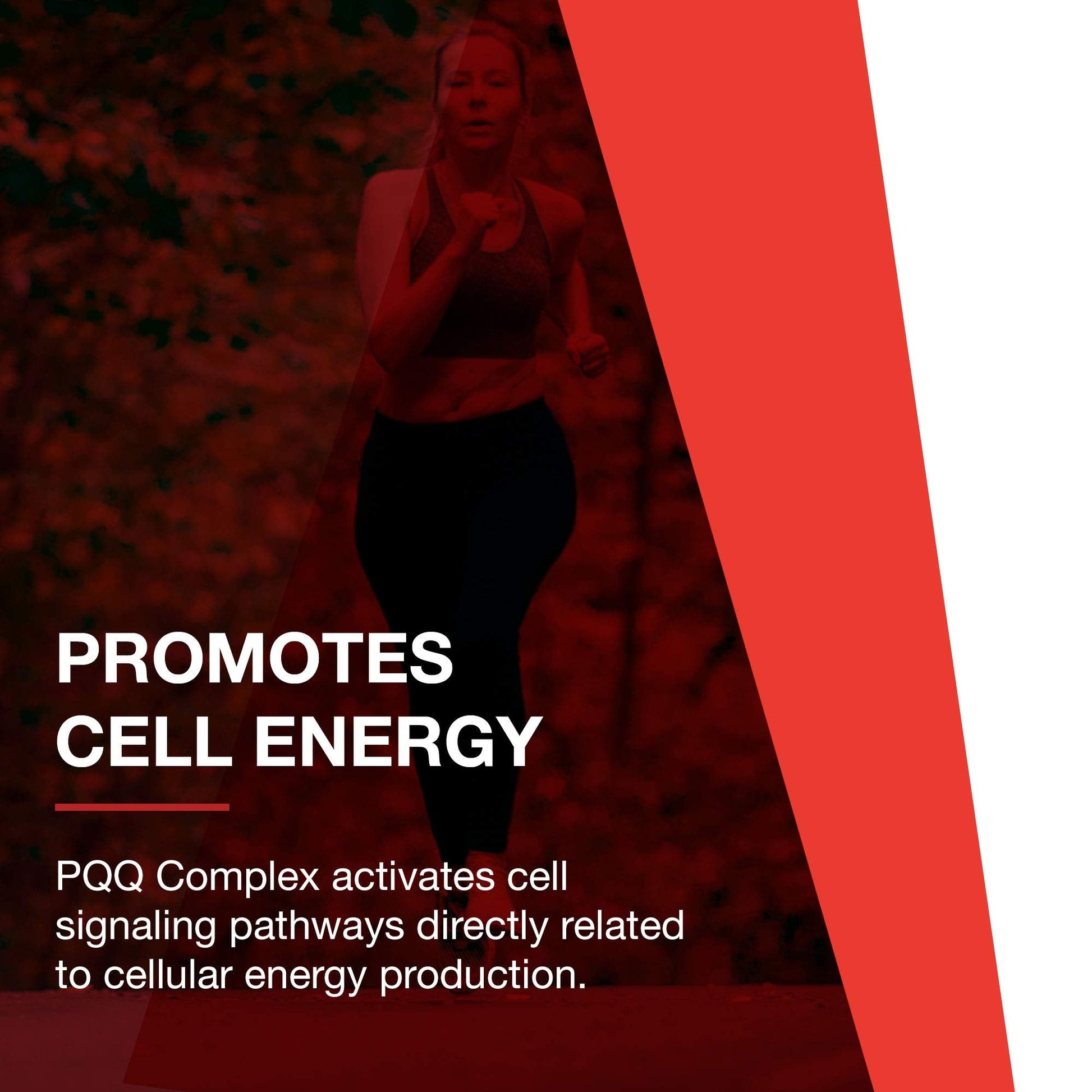 PROTOCOL FOR LIFE BALANCE PQQ Complex - Mitochondrial Health - with CoQ10 & L Carnitine - B Vitamin - Supplement for Energy - 30 Veg Caps - dailyvitalstore