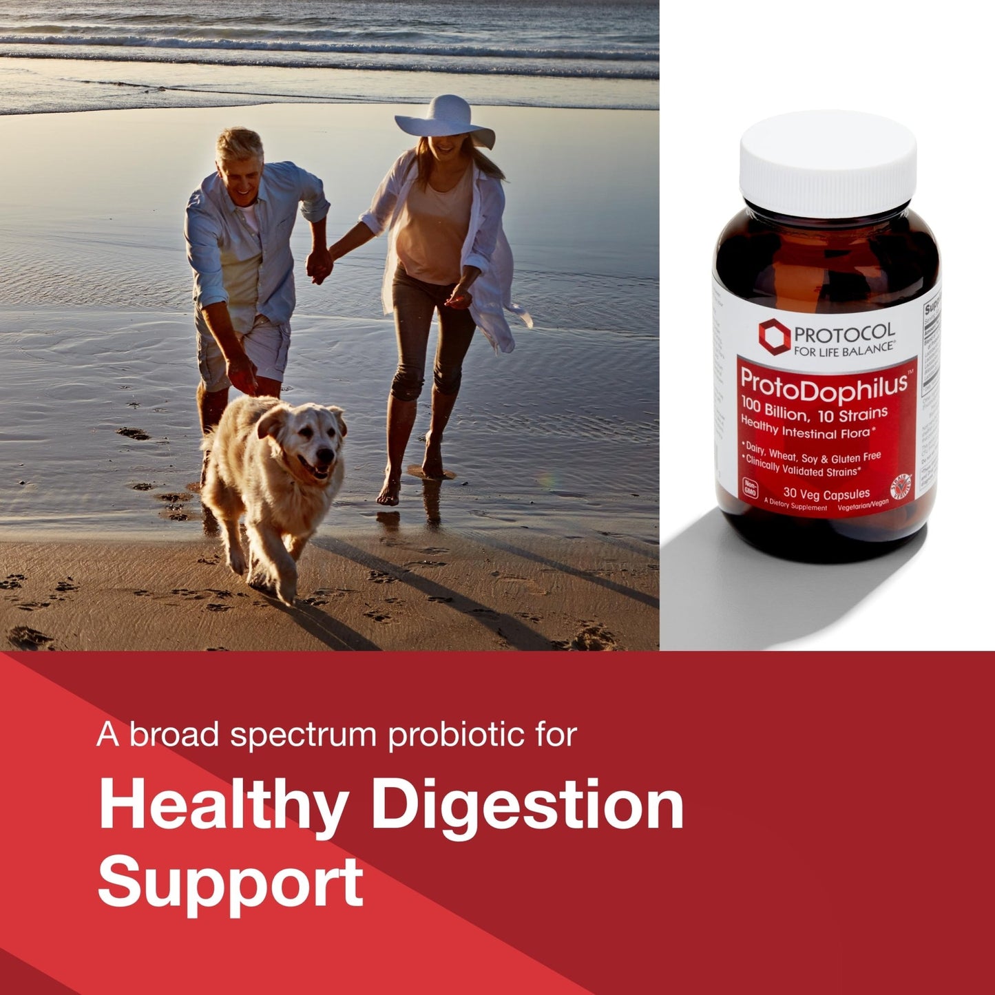 PROTOCOL FOR LIFE BALANCE Proto Dophilus 100 Billion 10 Strains - Support Digestive Gut Health Immune System & Detox - Dairy, Wheat, Soy & Gluten Free - Vegan & Nut Free - 30 Veg Capsules - dailyvitalstore