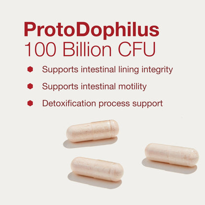 PROTOCOL FOR LIFE BALANCE Proto Dophilus 100 Billion 10 Strains - Support Digestive Gut Health Immune System & Detox - Dairy, Wheat, Soy & Gluten Free - Vegan & Nut Free - 30 Veg Capsules - dailyvitalstore