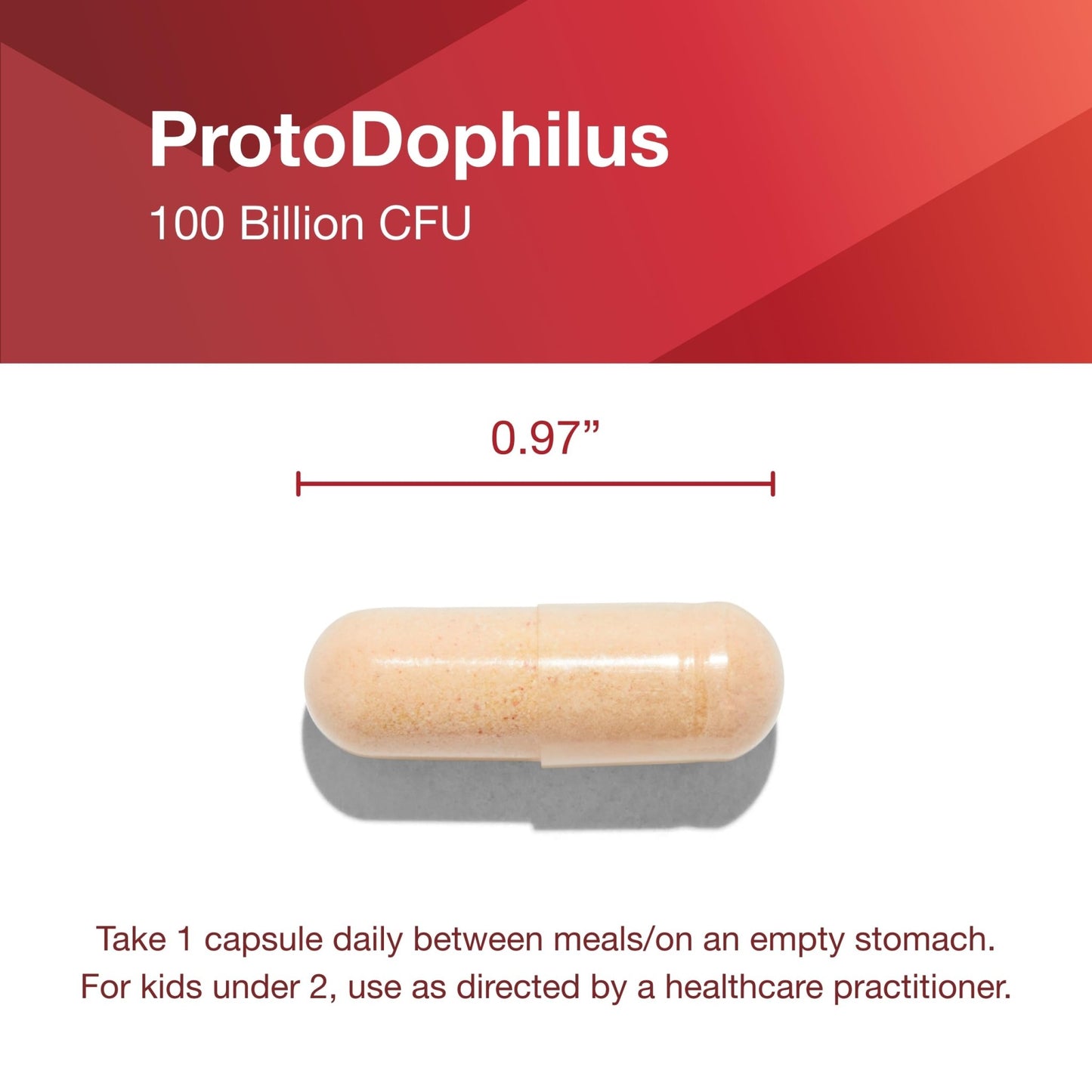 PROTOCOL FOR LIFE BALANCE Proto Dophilus 100 Billion 10 Strains - Support Digestive Gut Health Immune System & Detox - Dairy, Wheat, Soy & Gluten Free - Vegan & Nut Free - 30 Veg Capsules - dailyvitalstore
