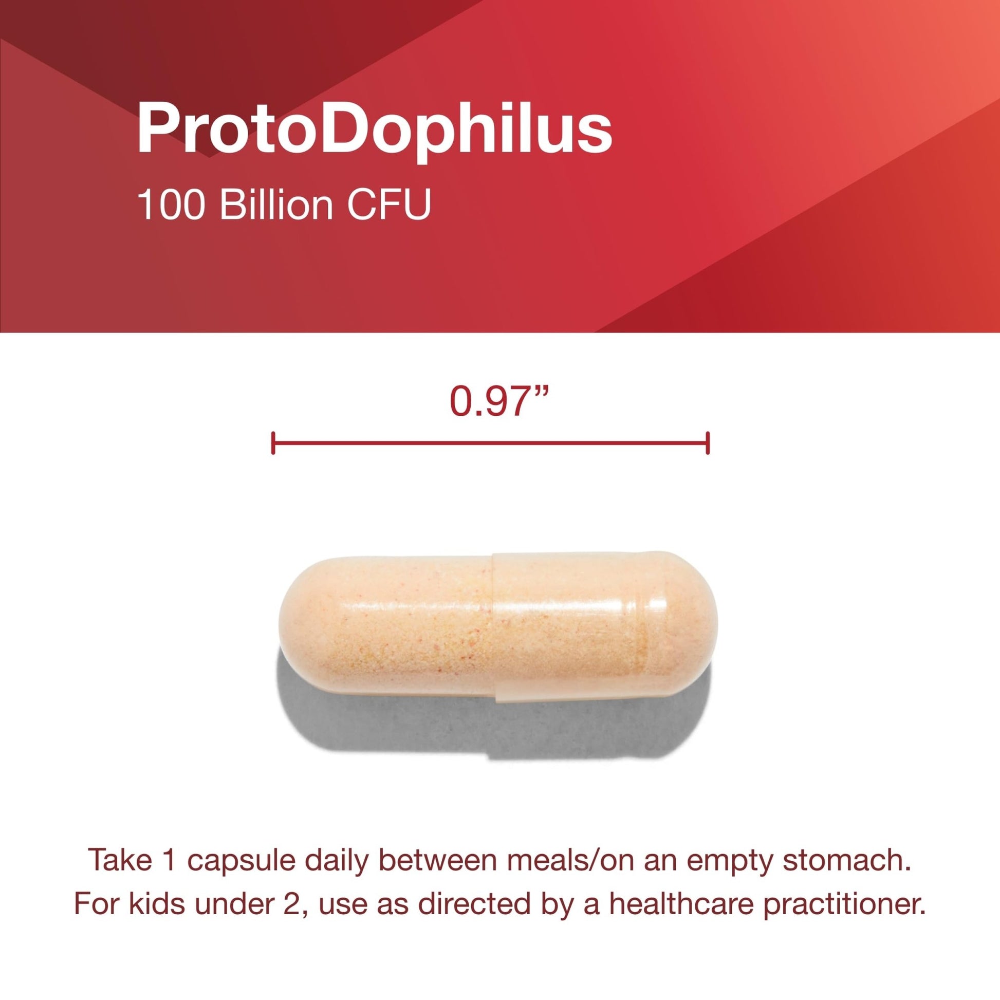 PROTOCOL FOR LIFE BALANCE Proto Dophilus 100 Billion 10 Strains - Support Digestive Gut Health Immune System & Detox - Dairy, Wheat, Soy & Gluten Free - Vegan & Nut Free - 30 Veg Capsules - dailyvitalstore