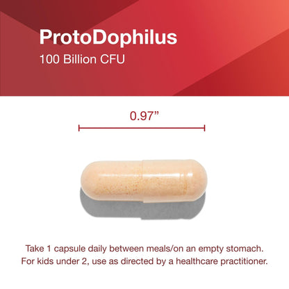 PROTOCOL FOR LIFE BALANCE Proto Dophilus 100 Billion 10 Strains - Support Digestive Gut Health Immune System & Detox - Dairy, Wheat, Soy & Gluten Free - Vegan & Nut Free - 30 Veg Capsules - dailyvitalstore