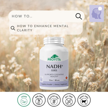 PROVITA NADH+ Forte | Cognitive Support Supplement with NADH, Coenzyme Q10 & Chlorophyll | Energy Support, Focus, Mental Clarity & Brain Health | Vegan Capsules | High Absorption Cellular Formula - dailyvitalstore