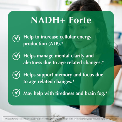 PROVITA NADH+ Forte | Cognitive Support Supplement with NADH, Coenzyme Q10 & Chlorophyll | Energy Support, Focus, Mental Clarity & Brain Health | Vegan Capsules | High Absorption Cellular Formula - dailyvitalstore