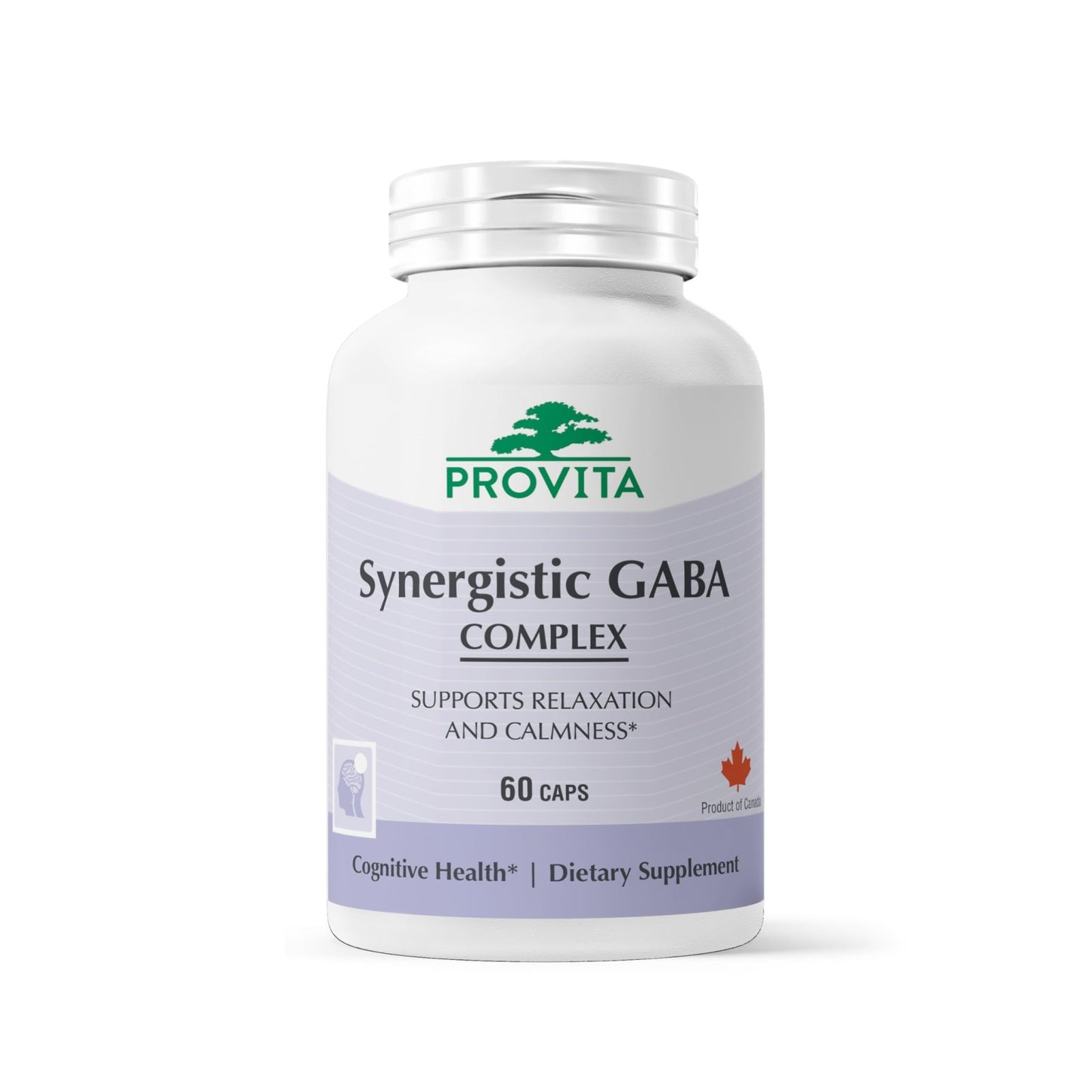 PROVITA Synergistic GABA Complex | GABA Supplement | with B6 & Glutamic Acid | Stress Relief Supplement | Mood Support | Relaxation & Calmness | Brain Support | Mood Enhancer | 60 Veg Capsules - dailyvitalstore