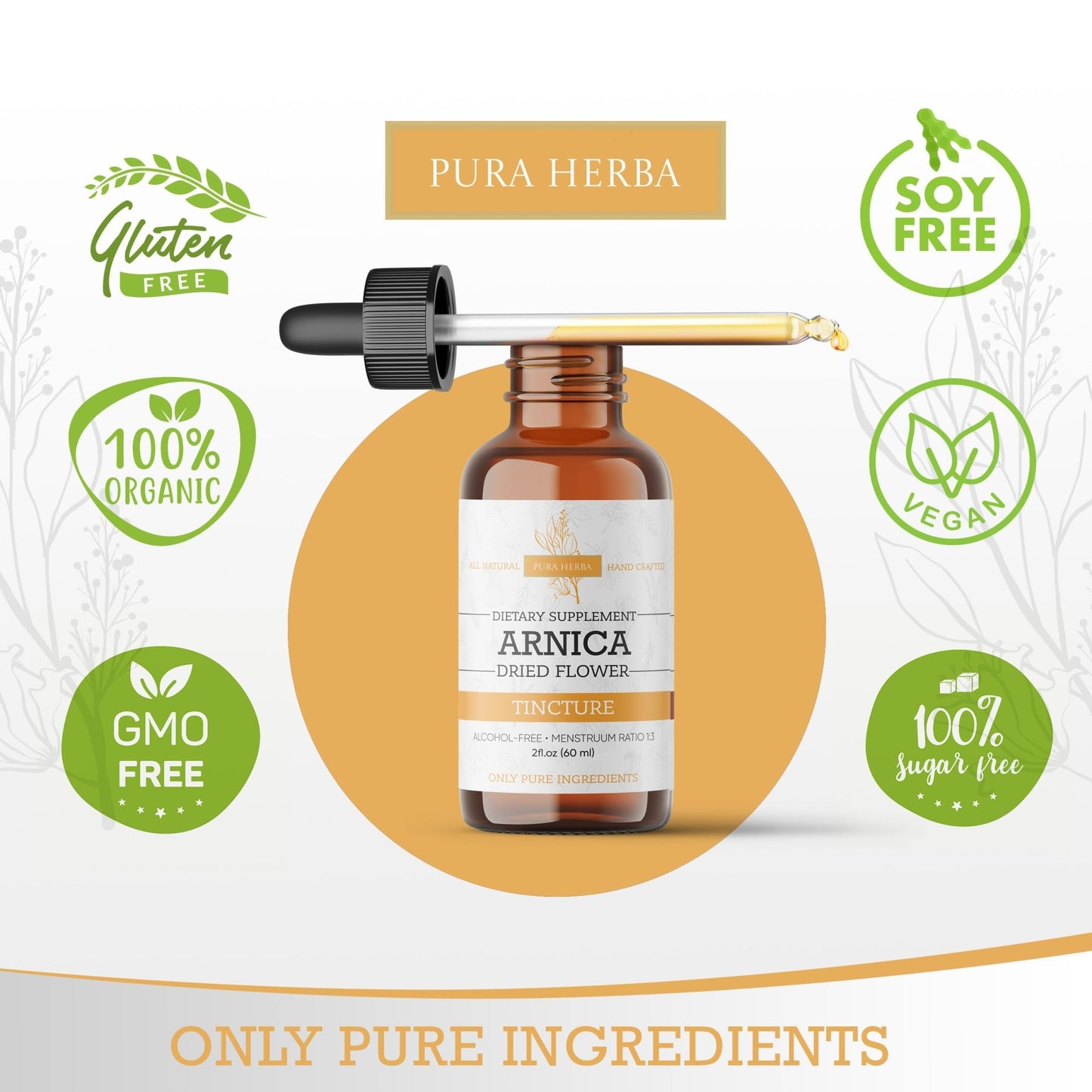 Pura Herba Arnica Liquid Extract – Alcohol-Free, Vegan, Supports Muscle Recovery & Joint Comfort, Fast-Absorbing Tincture, Made in USA – 2 Fl Oz - dailyvitalstore