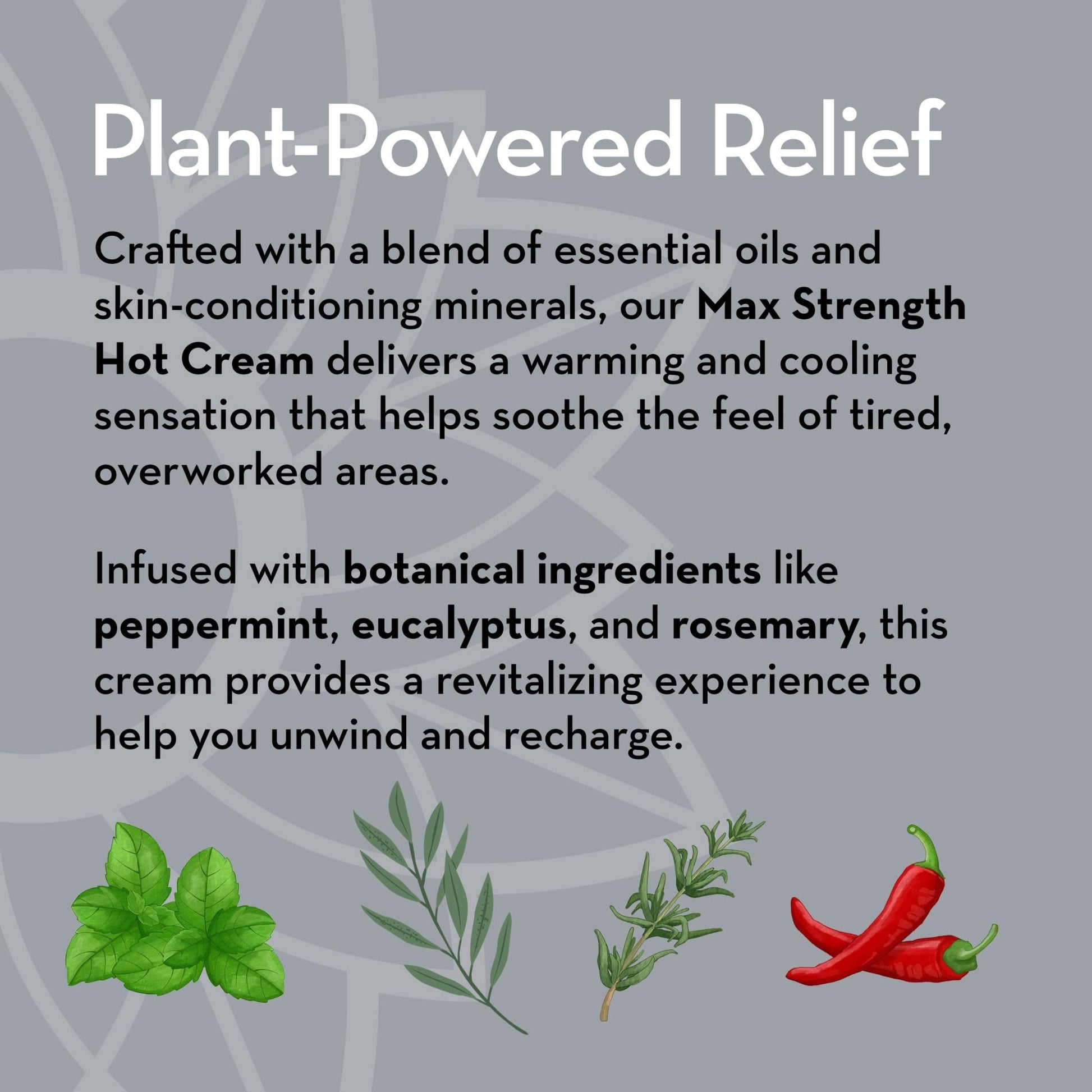Pure Body Naturals Max Strength Hot Cream – Warming & Cooling Cream with Capsaicin and Menthol – Soothing Comfort for Overworked Muscles – 8.8 oz - dailyvitalstore