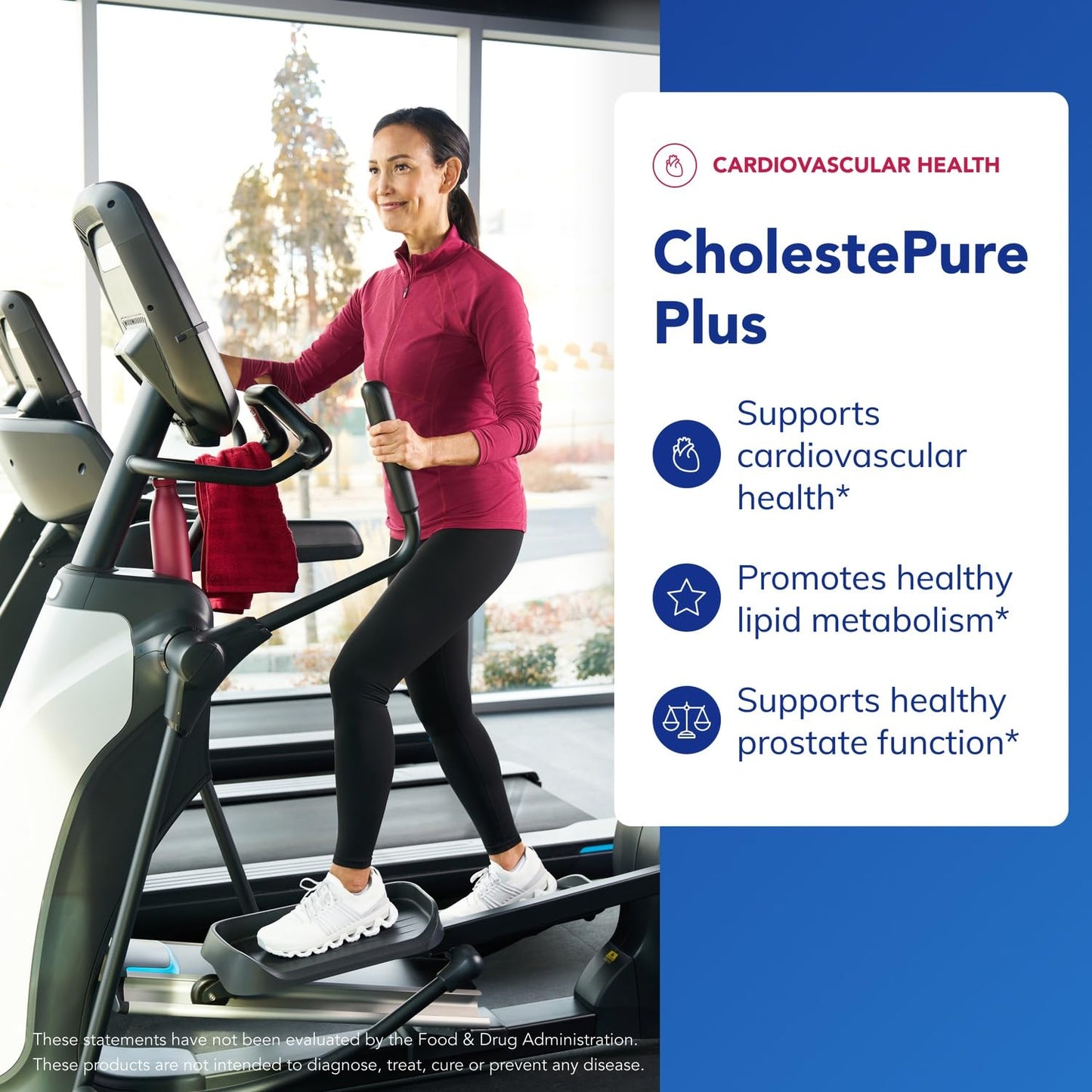Pure Encapsulations CholestePure Plus 120's - Supports Lipid Metabolism & Heart Health* - Berberine Supplement - with Citrus Bergamot - Gluten Free & Non-GMO - 120 Capsules - dailyvitalstore