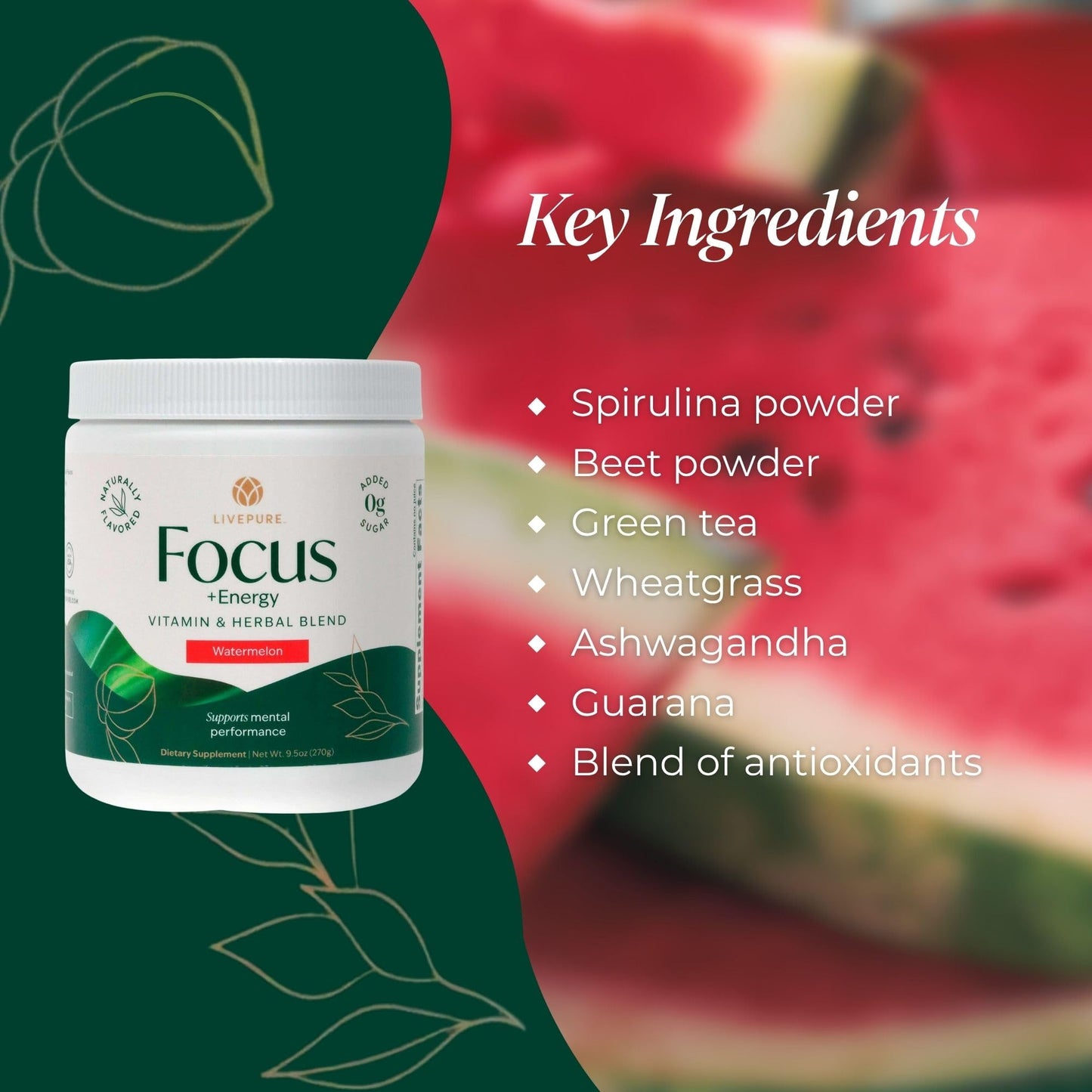 PURE Focus + Energy Tub Drink Mix | Natural Caffeine & Antioxidants from Botanicals | Supports Alertness, Clarity & Energy | Zero Sugar, No Artificial Sweeteners | 9.5 oz | Watermelon Flavor - dailyvitalstore