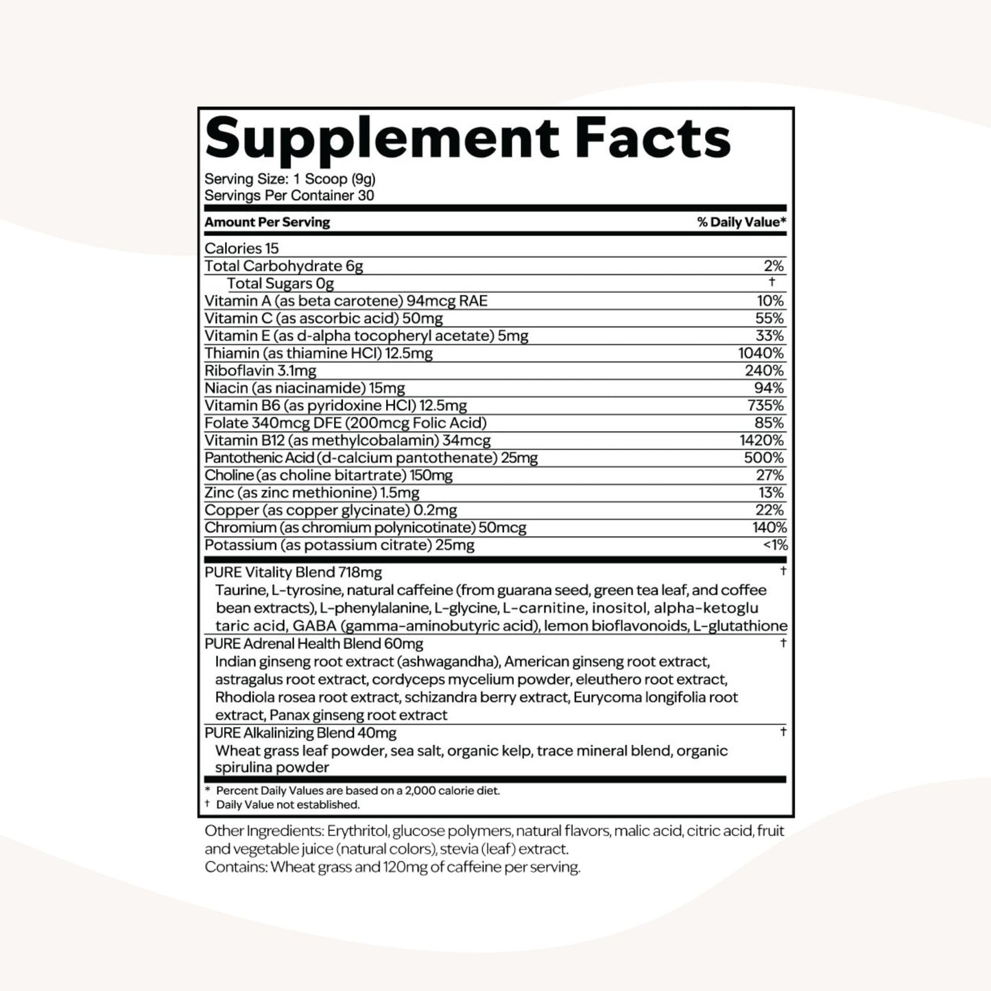 PURE Focus + Energy Tub Drink Mix | Natural Caffeine & Antioxidants from Botanicals | Supports Alertness, Clarity & Energy | Zero Sugar, No Artificial Sweeteners | 9.5 oz | Watermelon Flavor - dailyvitalstore