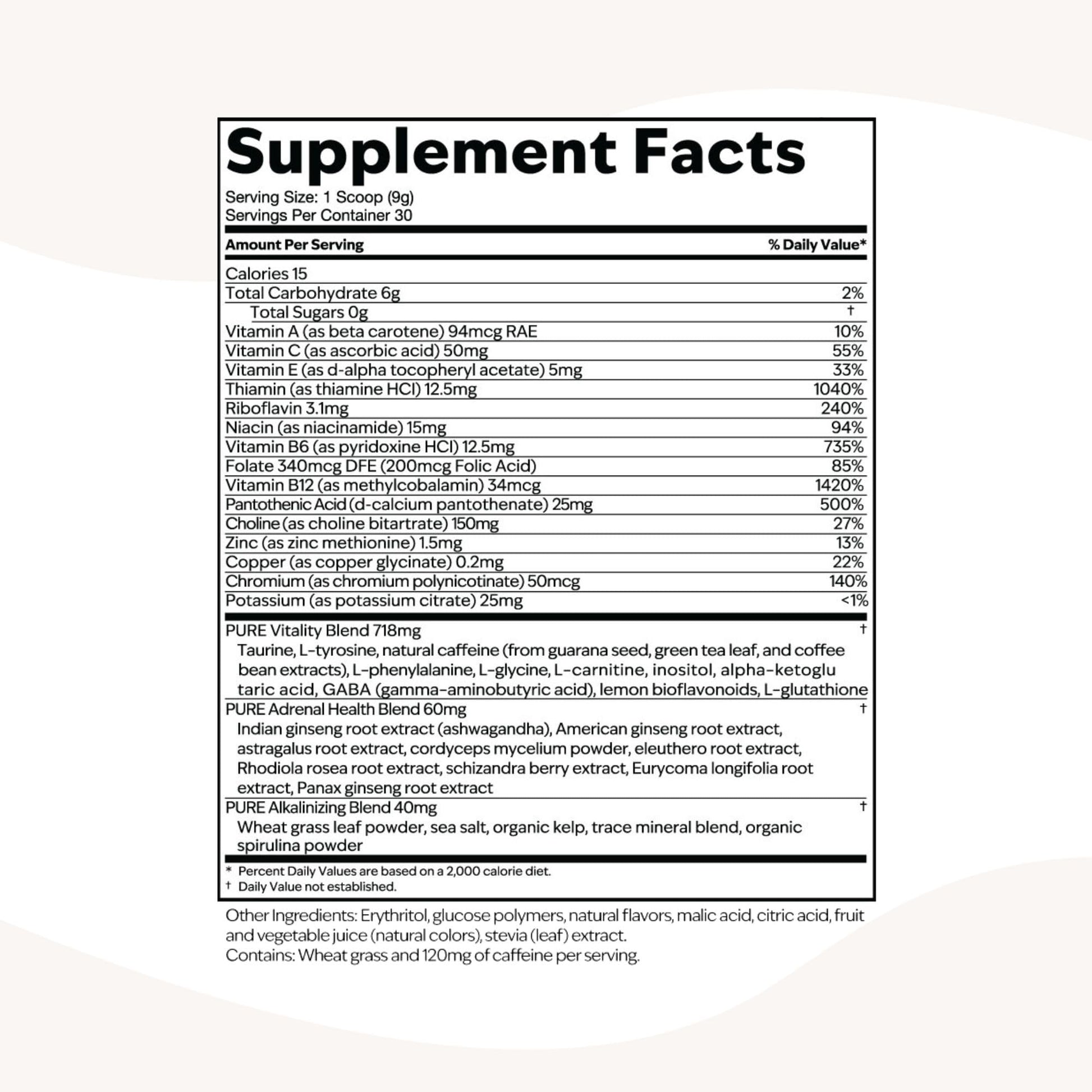 PURE Focus + Energy Tub Drink Mix | Natural Caffeine & Antioxidants from Botanicals | Supports Alertness, Clarity & Energy | Zero Sugar, No Artificial Sweeteners | 9.5 oz | Watermelon Flavor - dailyvitalstore