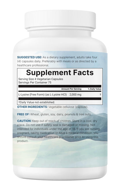 Pure L-Lysine 2,000mg, 300 Veggie Capsules | Maximum Potency, Easily Absorbed, Free Form | Essential Amino Acid for Collagen, Lip, & Immune Support - dailyvitalstore