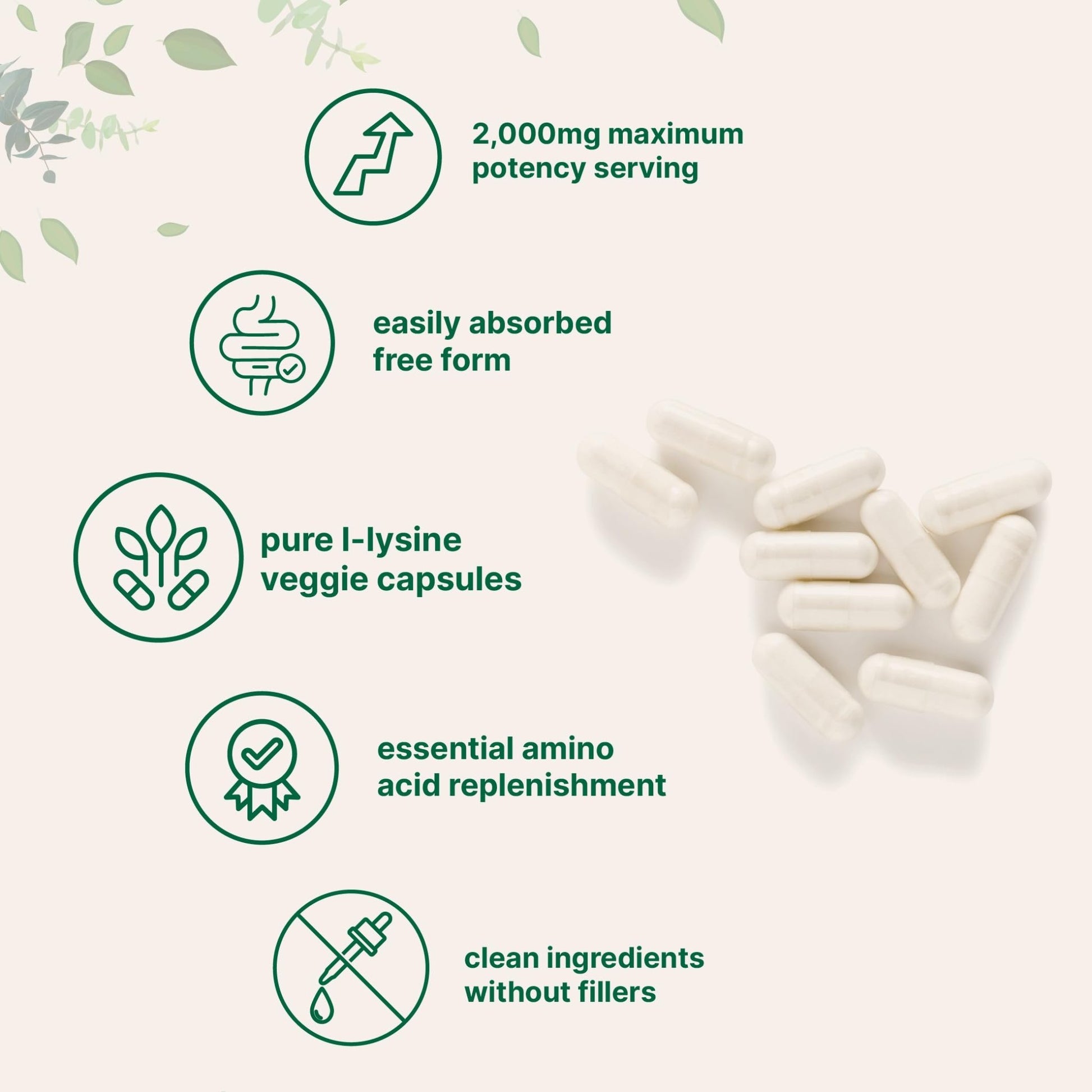 Pure L-Lysine 2,000mg, 300 Veggie Capsules | Maximum Potency, Easily Absorbed, Free Form | Essential Amino Acid for Collagen, Lip, & Immune Support - dailyvitalstore