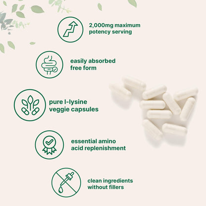 Pure L-Lysine 2,000mg, 300 Veggie Capsules | Maximum Potency, Easily Absorbed, Free Form | Essential Amino Acid for Collagen, Lip, & Immune Support - dailyvitalstore
