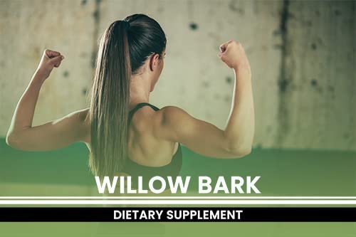 PURE ORIGINAL INGREDIENTS Willow Bark Extract (365 Capsules) No Magnesium Or Rice Fillers, Always Pure, Lab Verified - dailyvitalstore