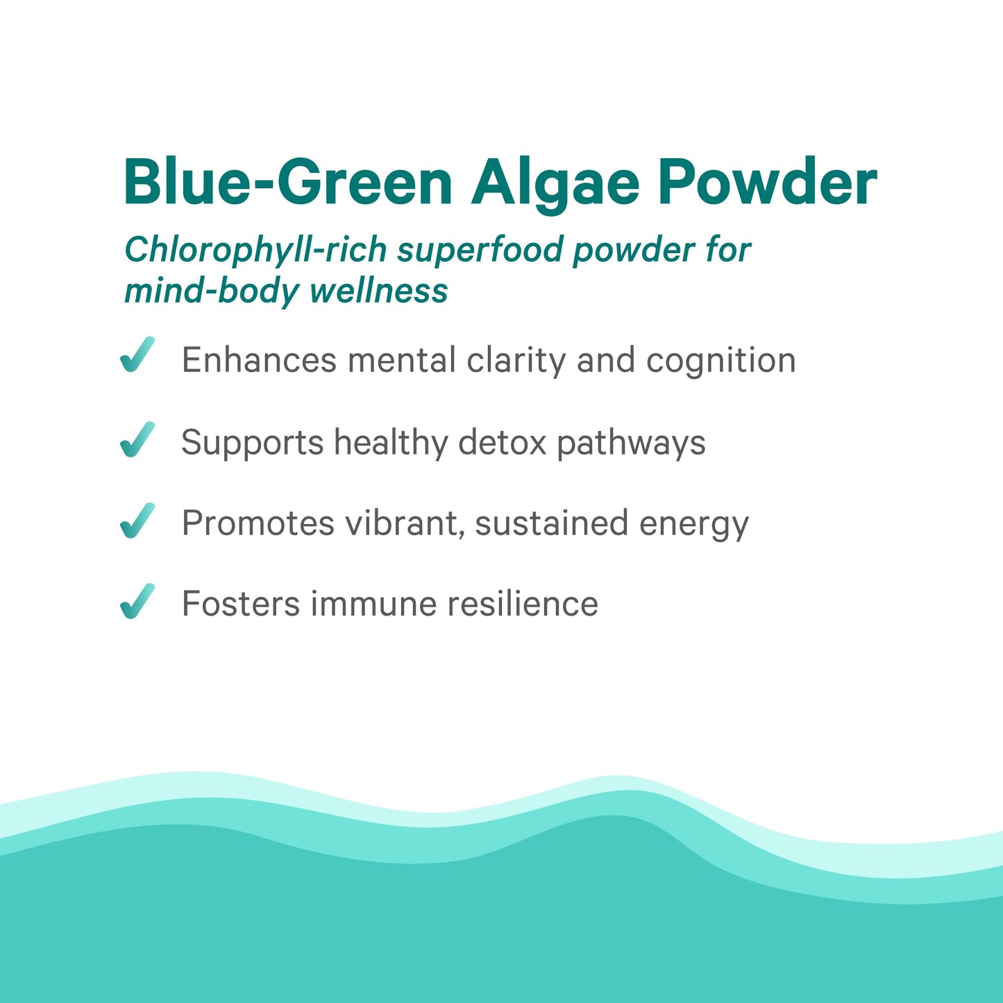 PURE SYNERGY Blue-Green Algae Powder | Superfood Powder with Chlorophyll | Organic AFA Blue Green Algae Supplement | Supports Energy, Mental Clarity, and Detoxification (3.2 oz.) - dailyvitalstore