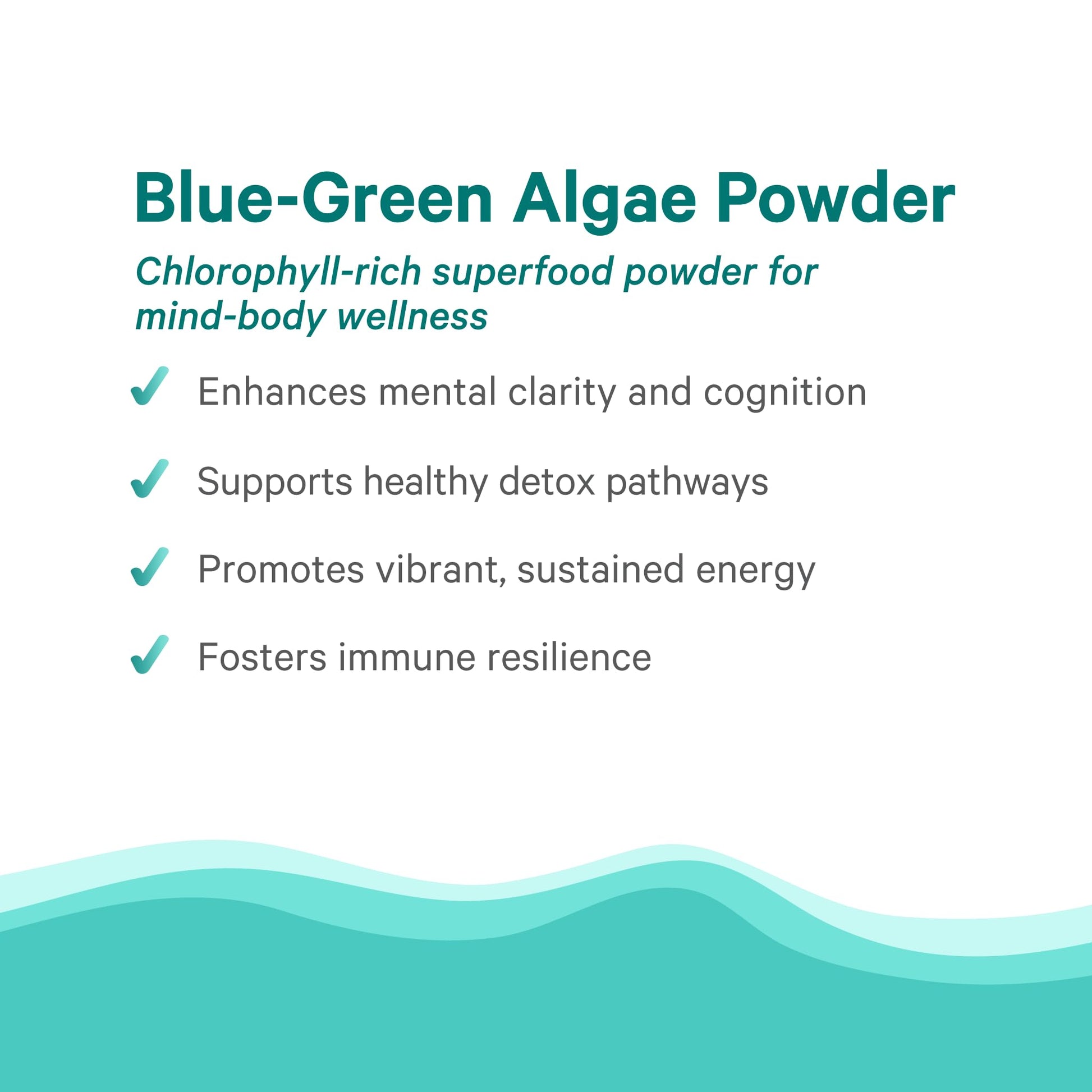 PURE SYNERGY Blue-Green Algae Powder | Superfood Powder with Chlorophyll | Organic AFA Blue Green Algae Supplement | Supports Energy, Mental Clarity, and Detoxification (3.2 oz.) - dailyvitalstore