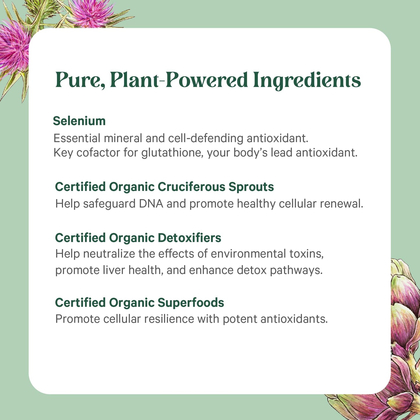 PURE SYNERGY Cell Protector | Cellular Health Supplement | Cell and Immune Support with Selenium and Organic Cruciferous Vegetables | for Healthy Aging & Detoxification (120 Capsules) - dailyvitalstore