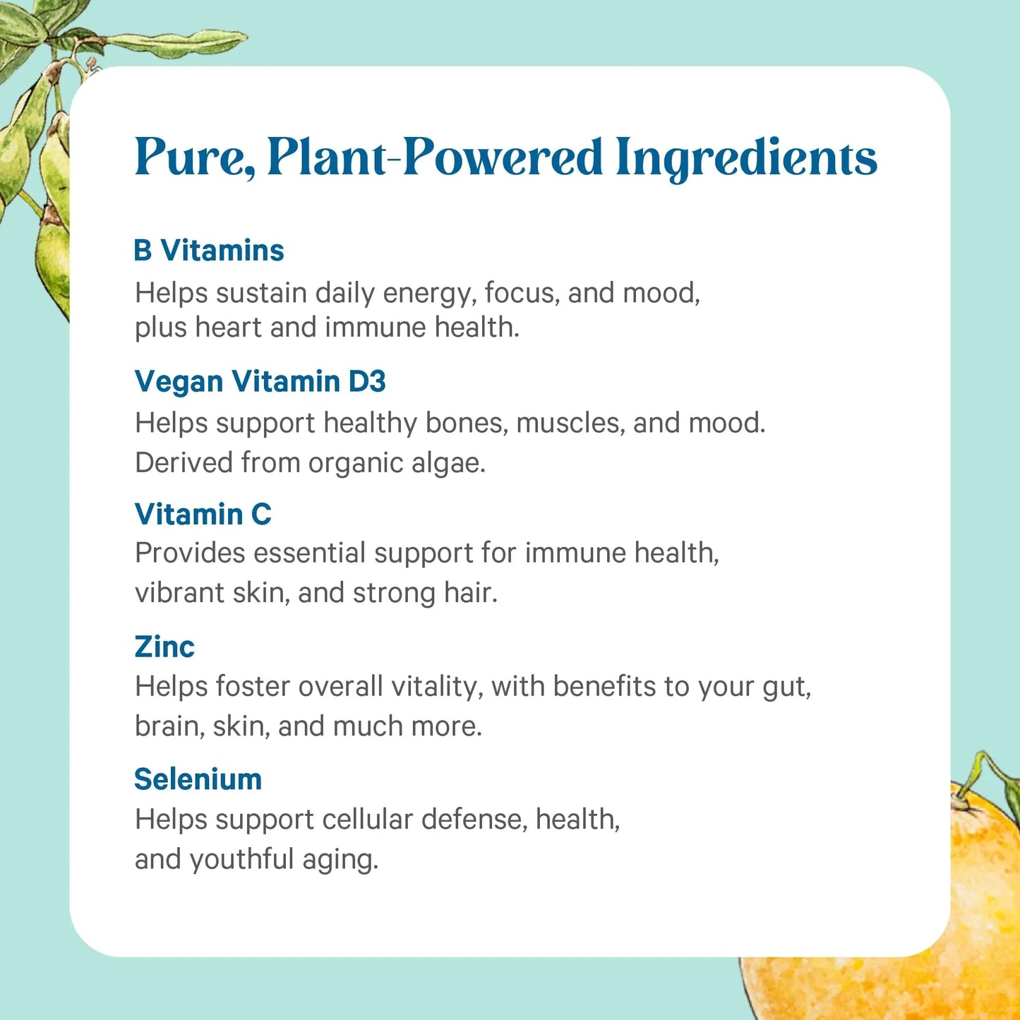 PURE SYNERGY Multi·Vita·Min | Vegan Multivitamin Made with Organic Whole Foods | Twice Daily Supplement for Men and Women - dailyvitalstore