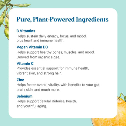 PURE SYNERGY Multi·Vita·Min | Vegan Multivitamin Made with Organic Whole Foods | Twice Daily Supplement for Men and Women - dailyvitalstore